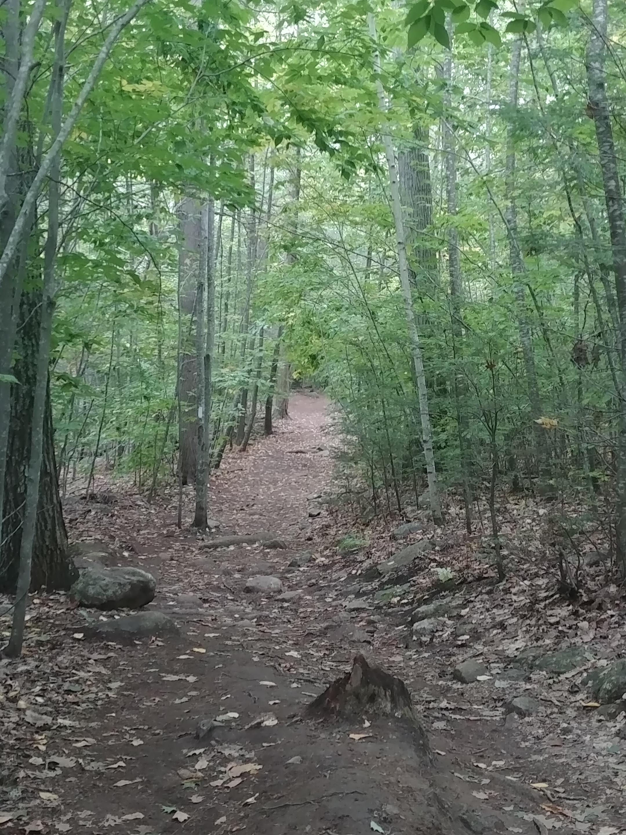 Mt Agamenticus trails, York, Maine, USA r/hiking