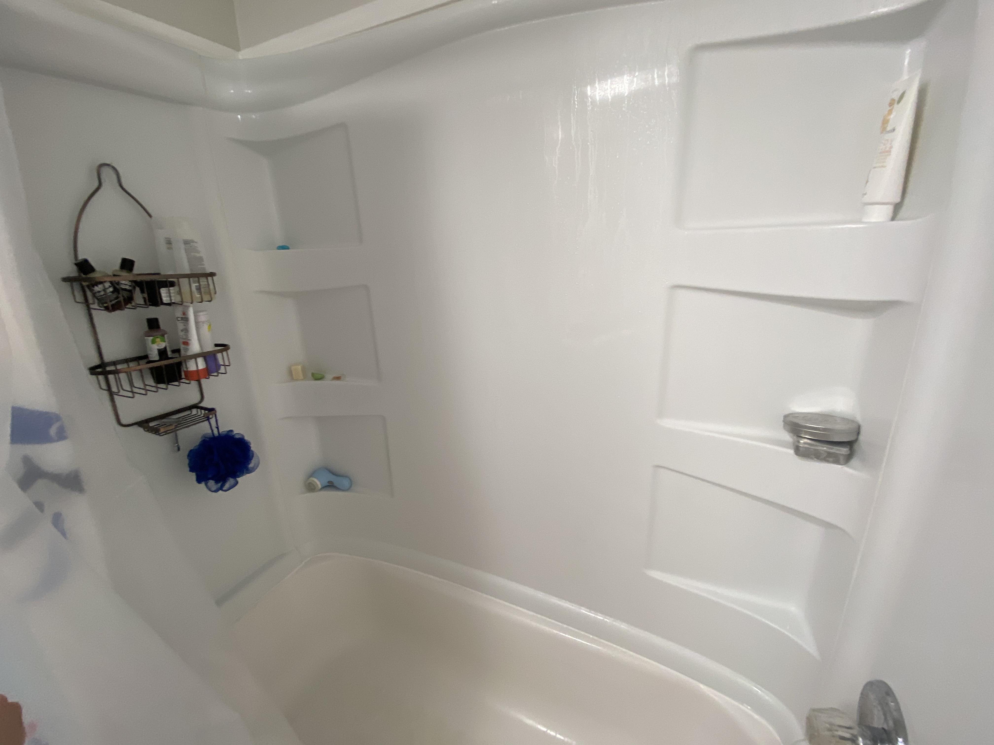 What do y’all have in your showers right now?! Description in the