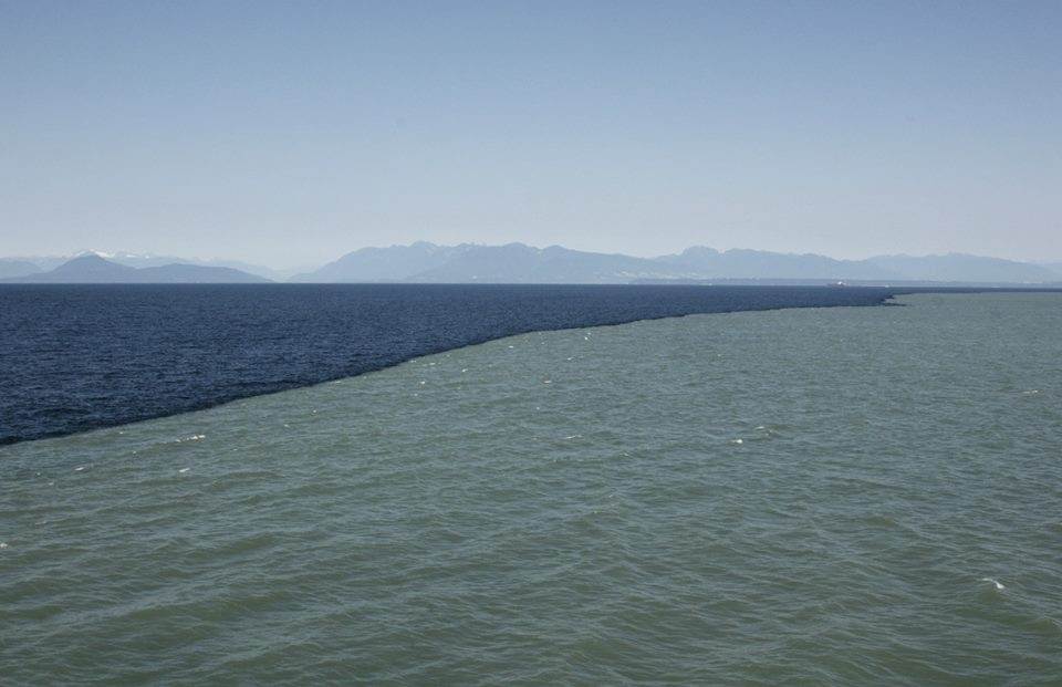 where the pacific and atlantic oceans meet.. r/pics