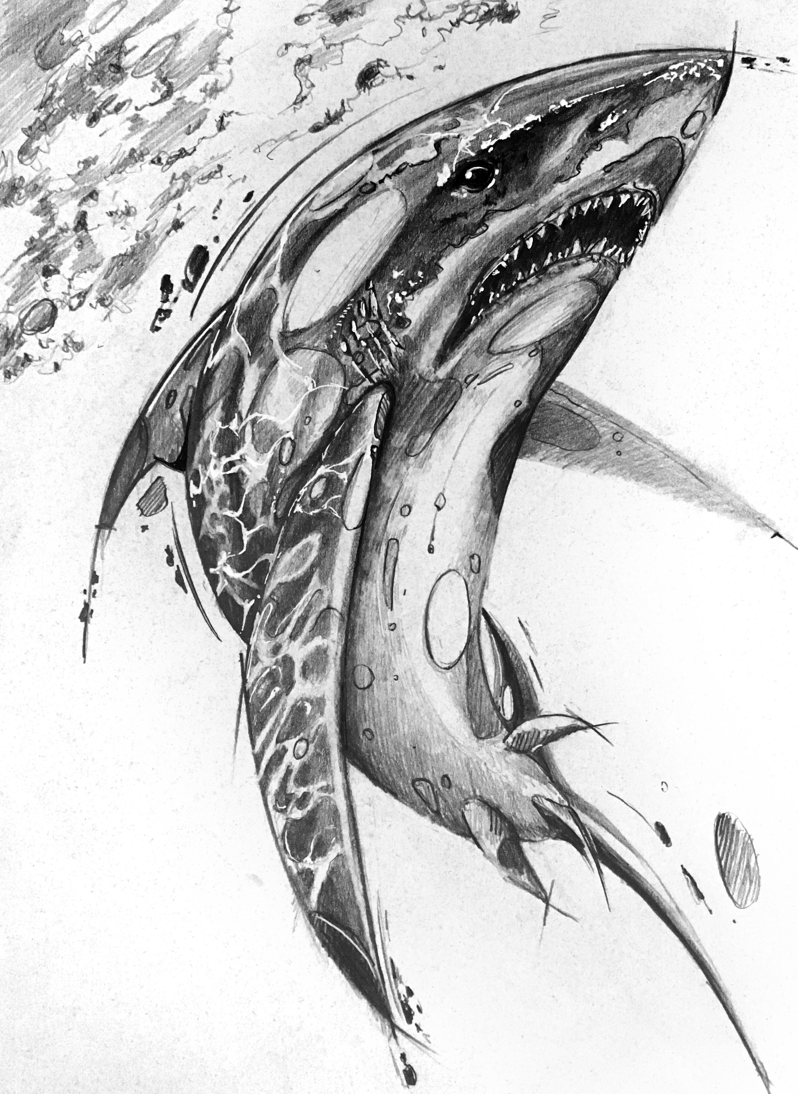 “how fast can you swim” r/sketches