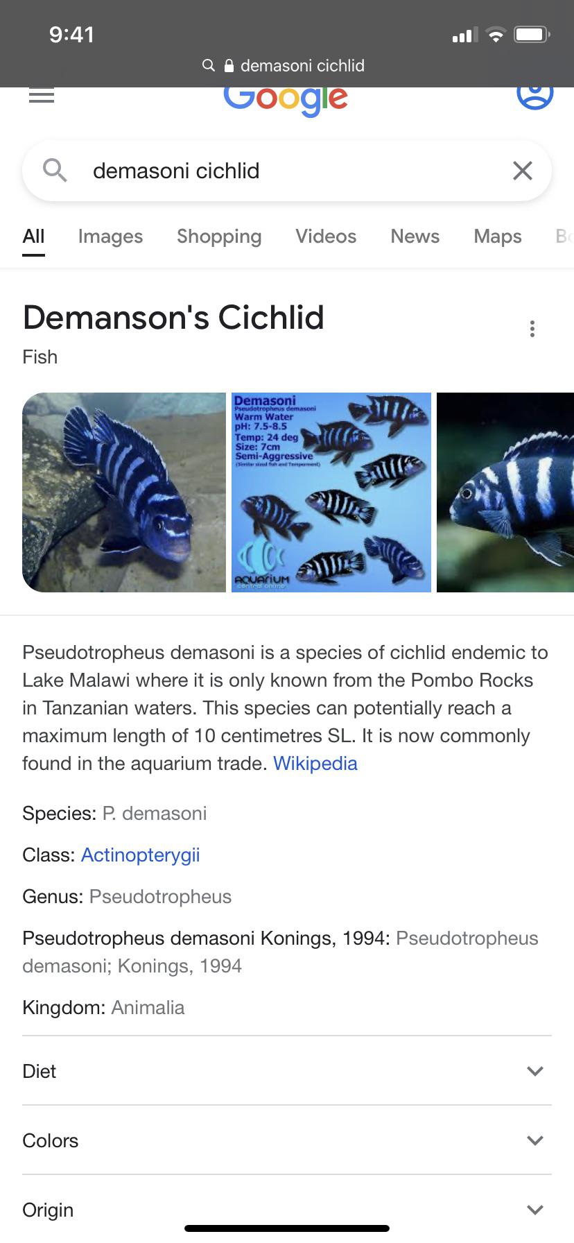 can these live with african cichlids? r/Cichlid