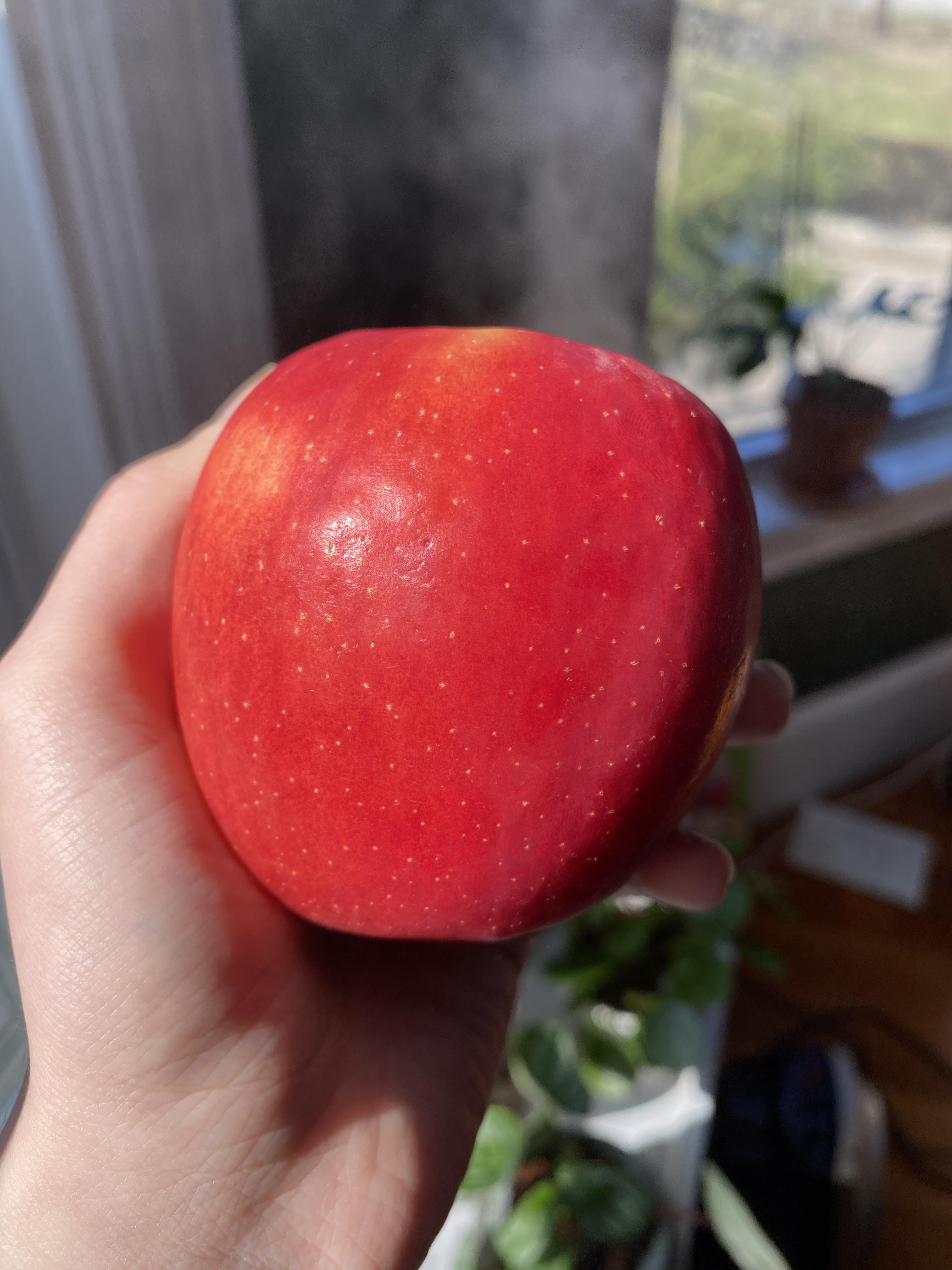 Getting jiggy with the Jazz r/Apples