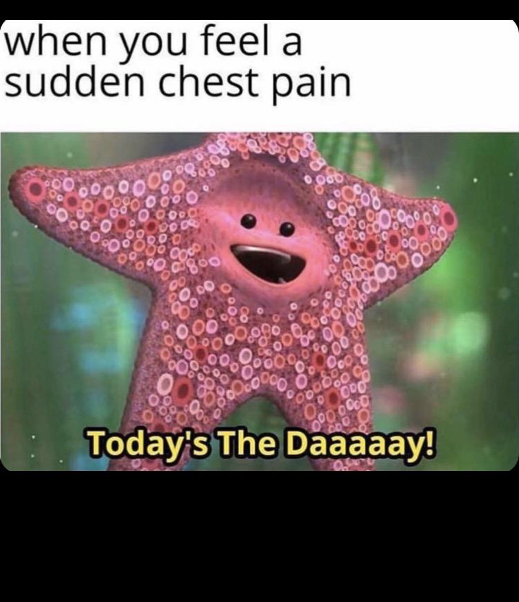 Today The Day! r/memes