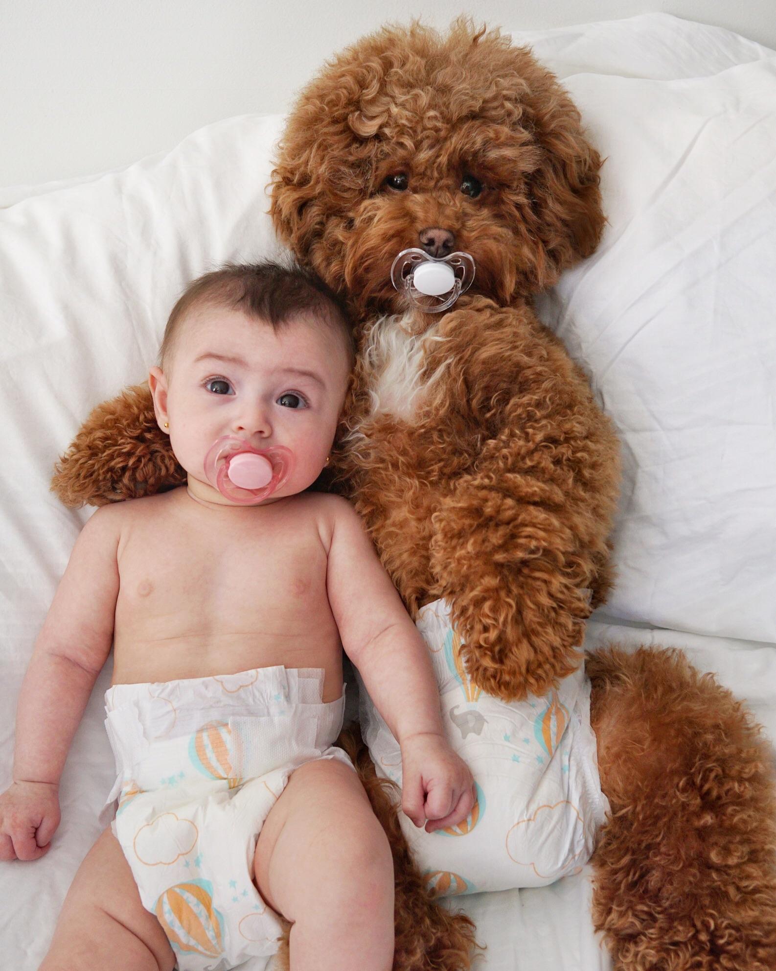 PsBattle Baby and dog using pacifiers