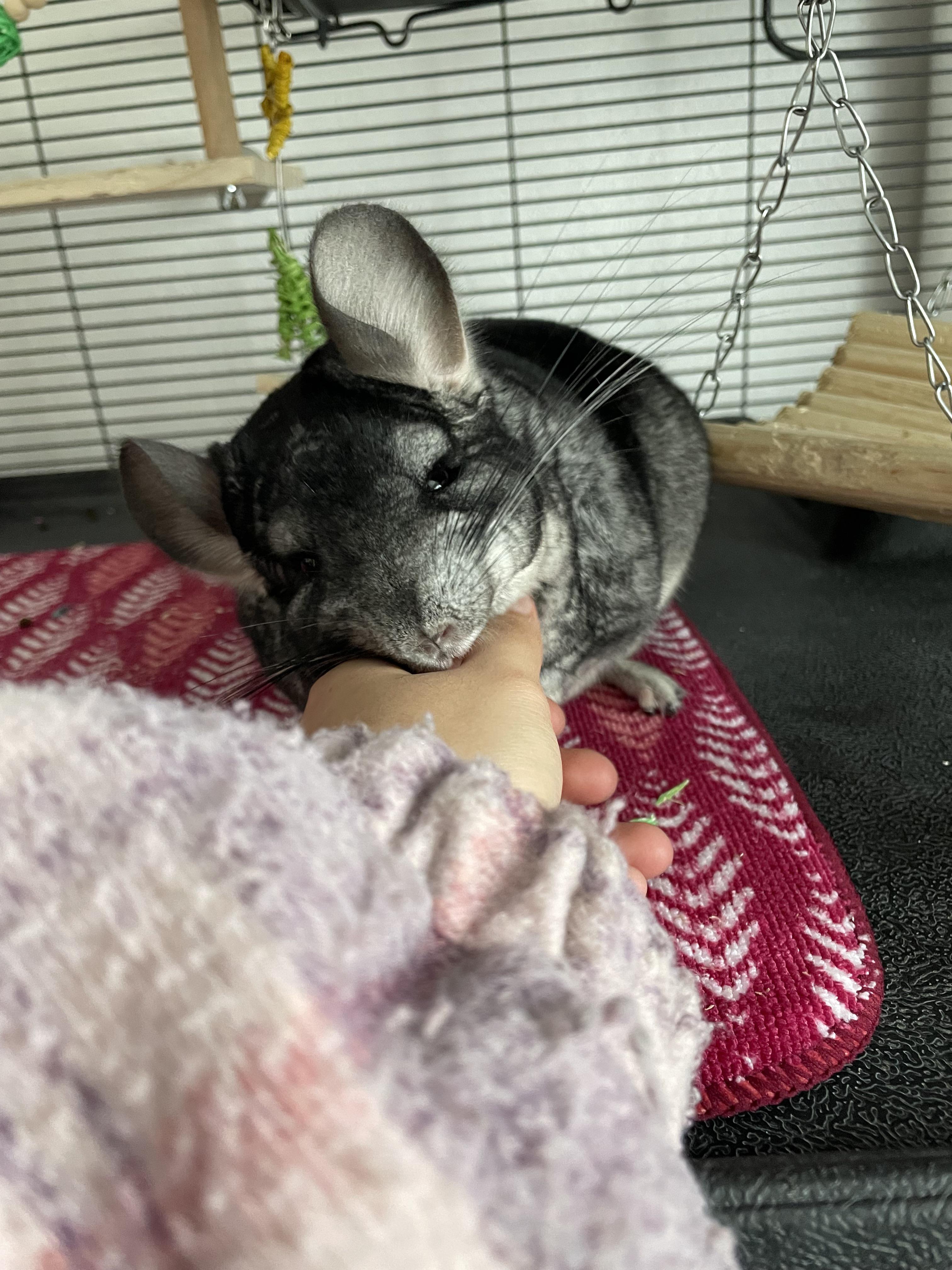 i think i might had develop an allergy to my baby girl 😭 i know it’s not common and i don’t