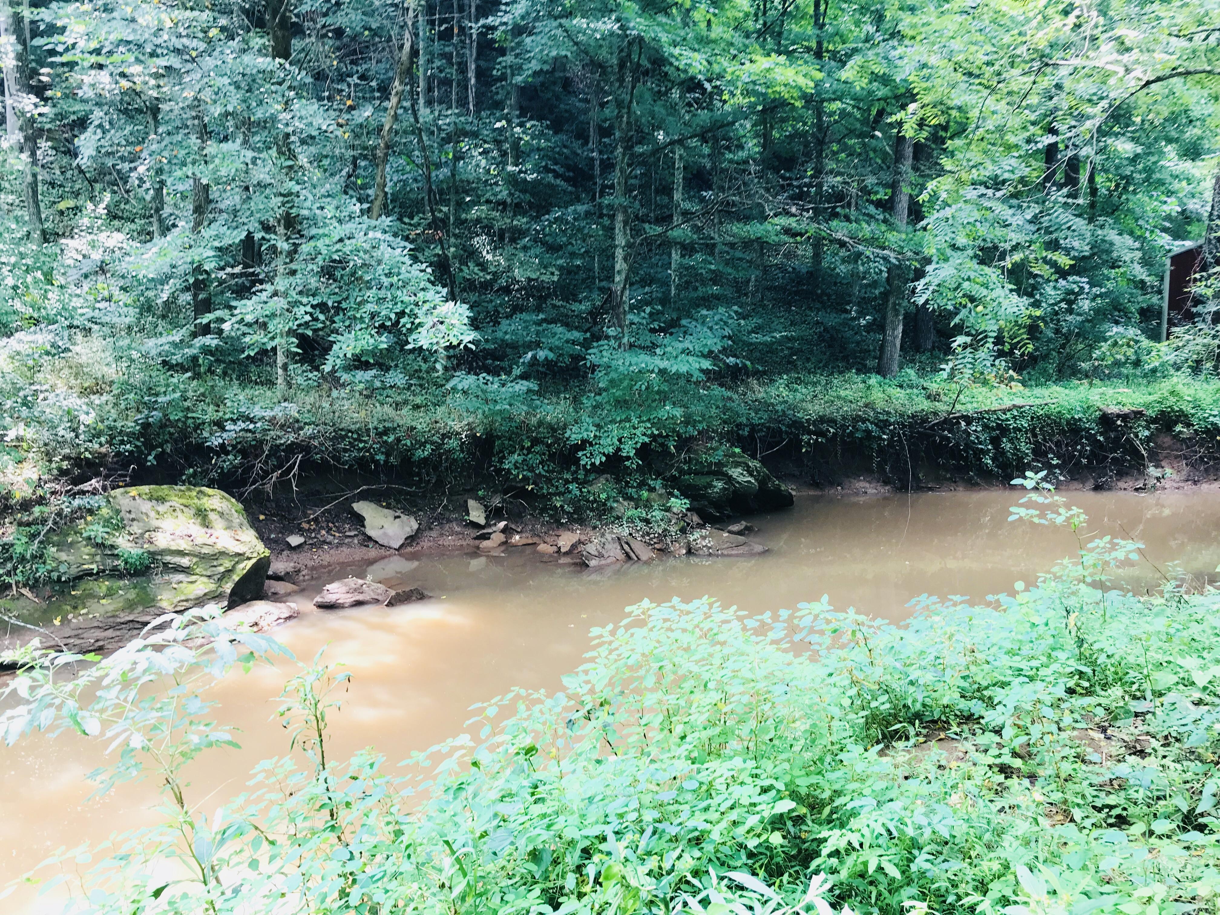 A creek in Kenna, WV r/WestVirginia