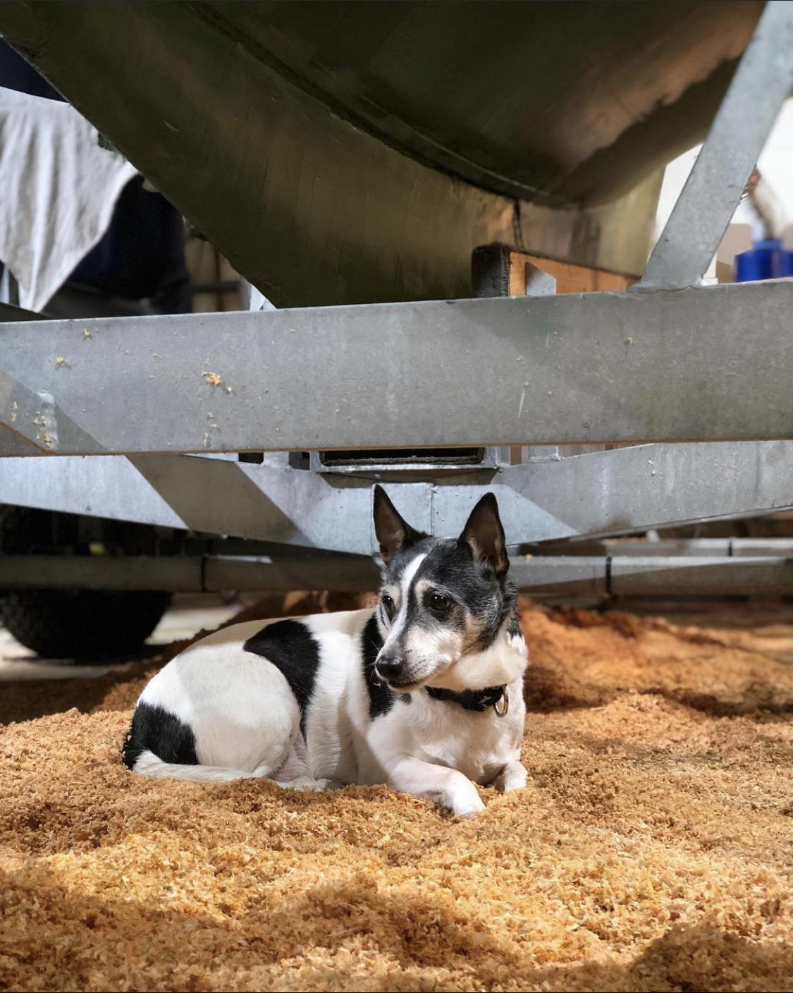 Painting keels r/boatbuilding