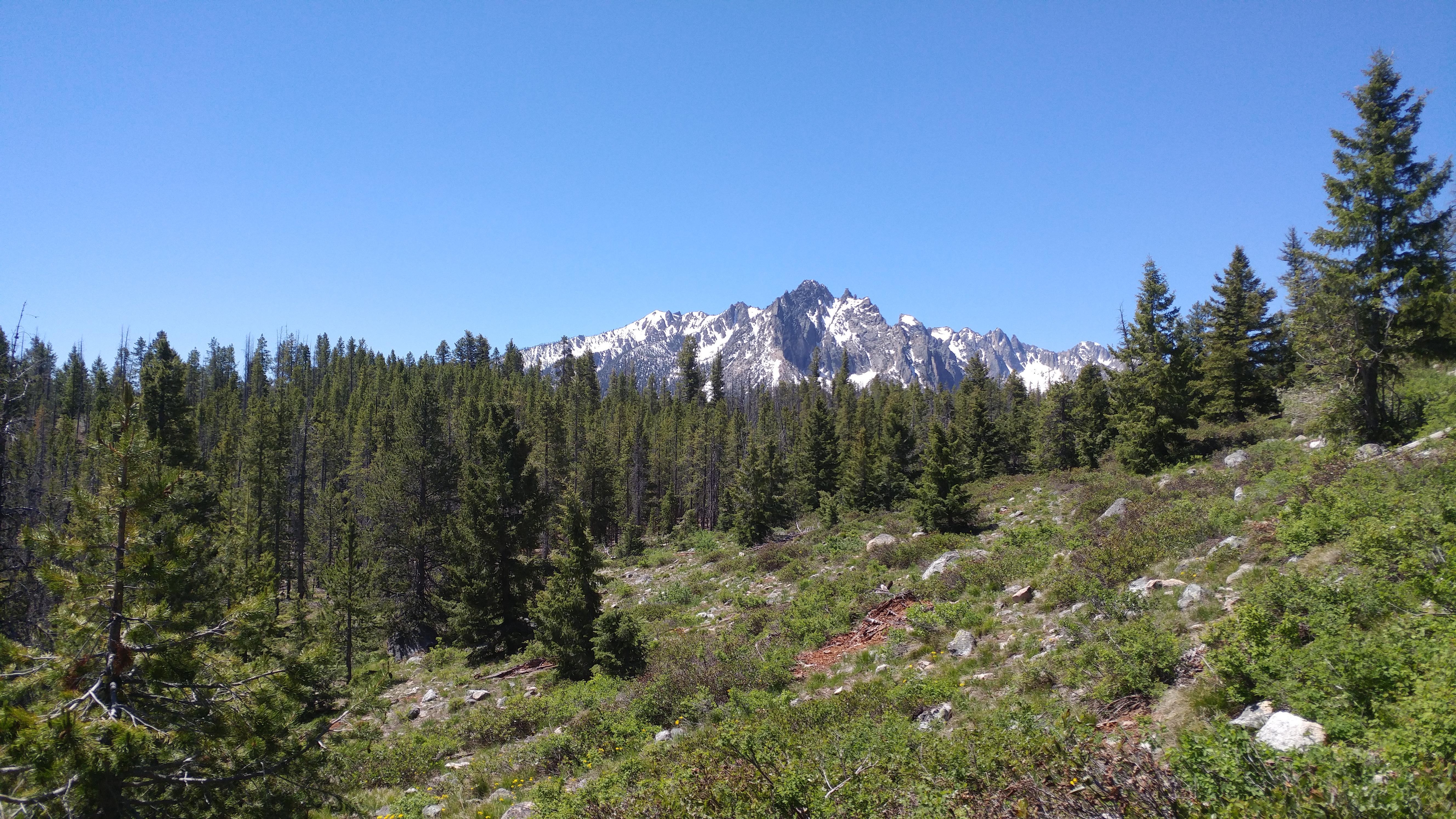 Mountains hidden behind endless trees. Sawtooth Mountains, Idaho r