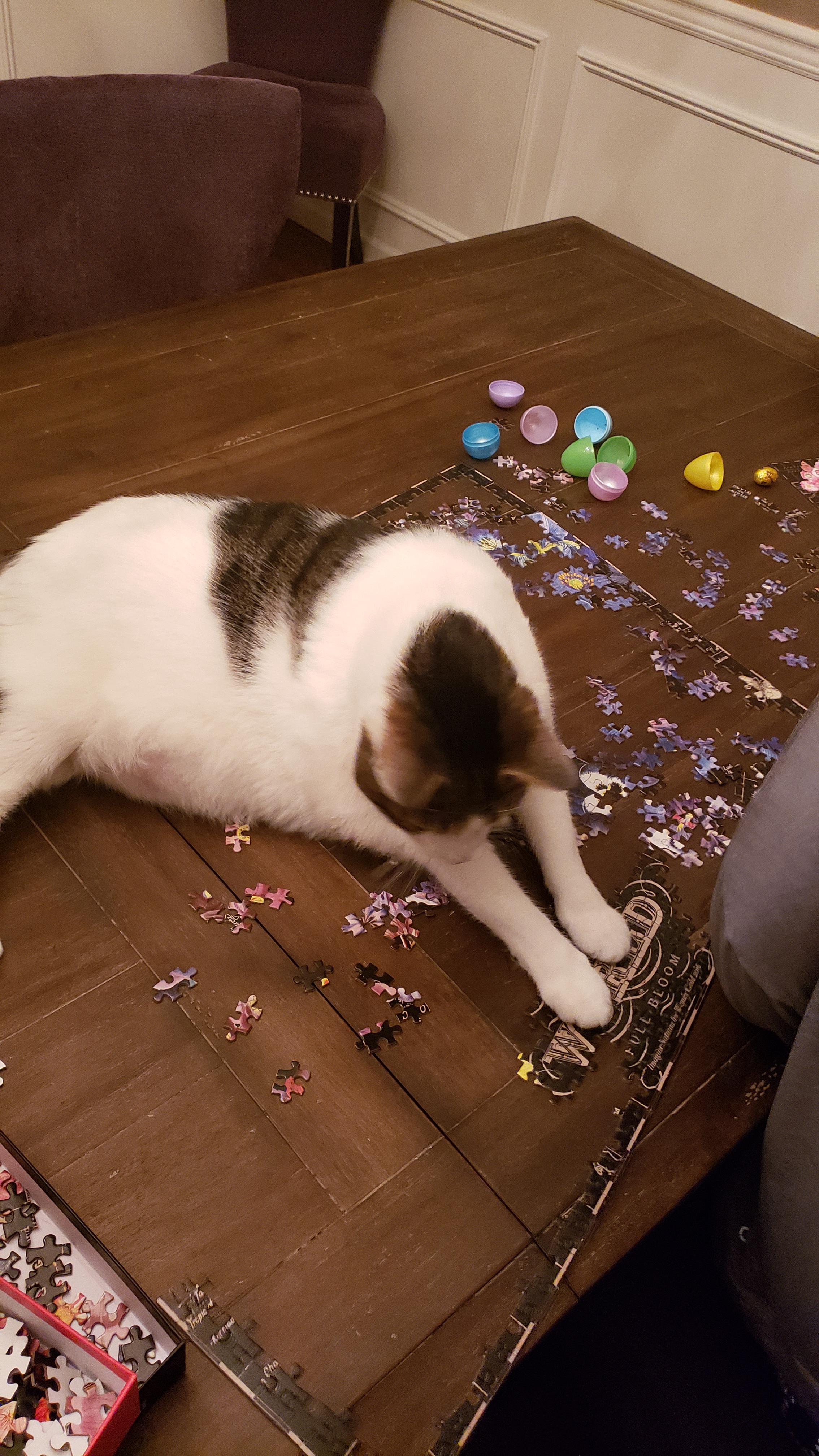 The cat messed up and laid on my 2,000 piece puzzle. r/AnimalsBeingJerks