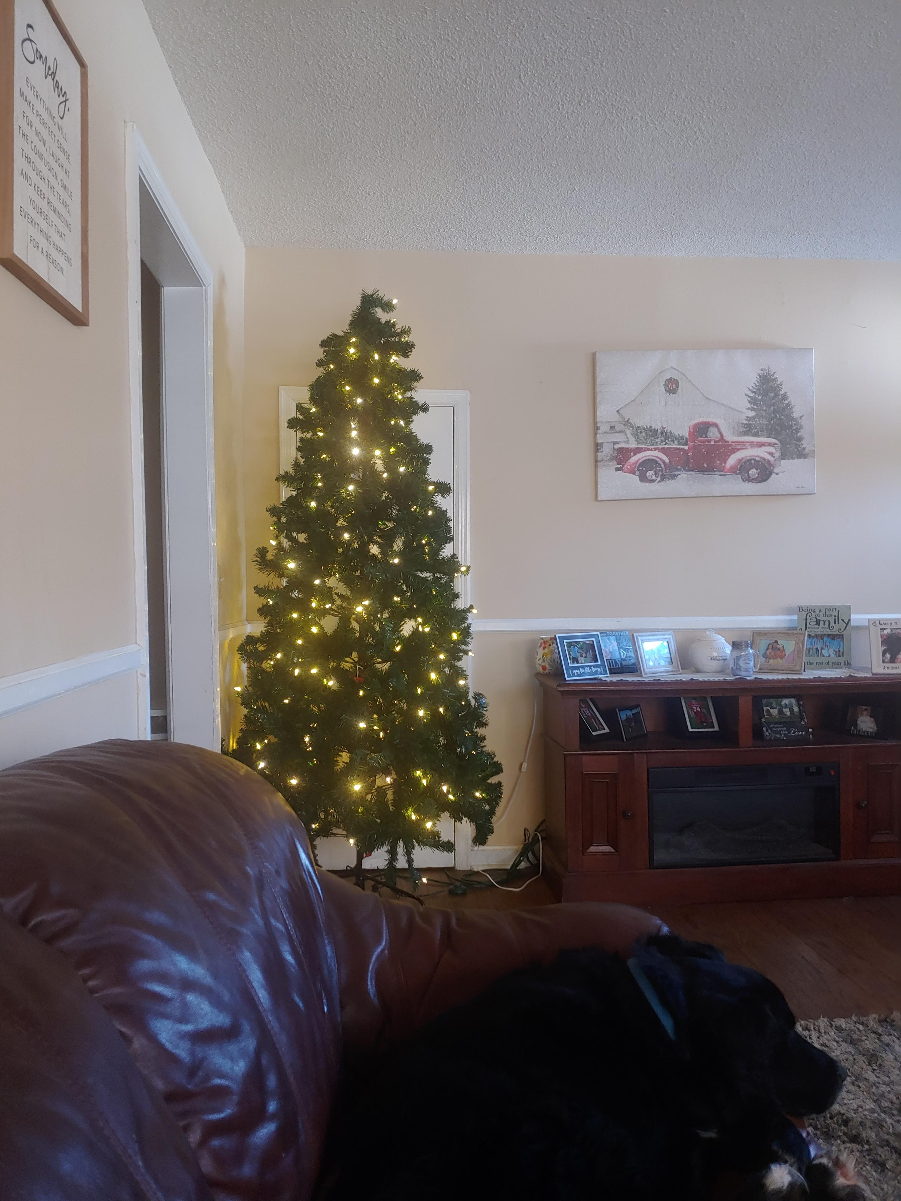 My tree is still up! Why?! I'm kinda used to it now. r/christmas