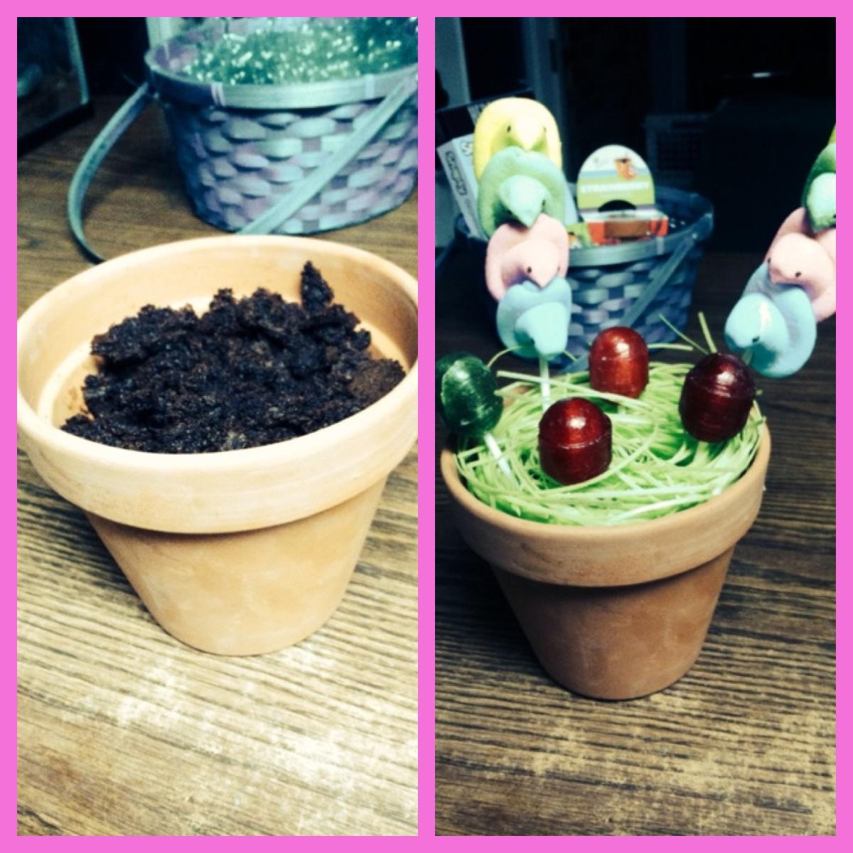 Progress of Easter magic. Step 1) plant jelly beans in cake "dirt" the