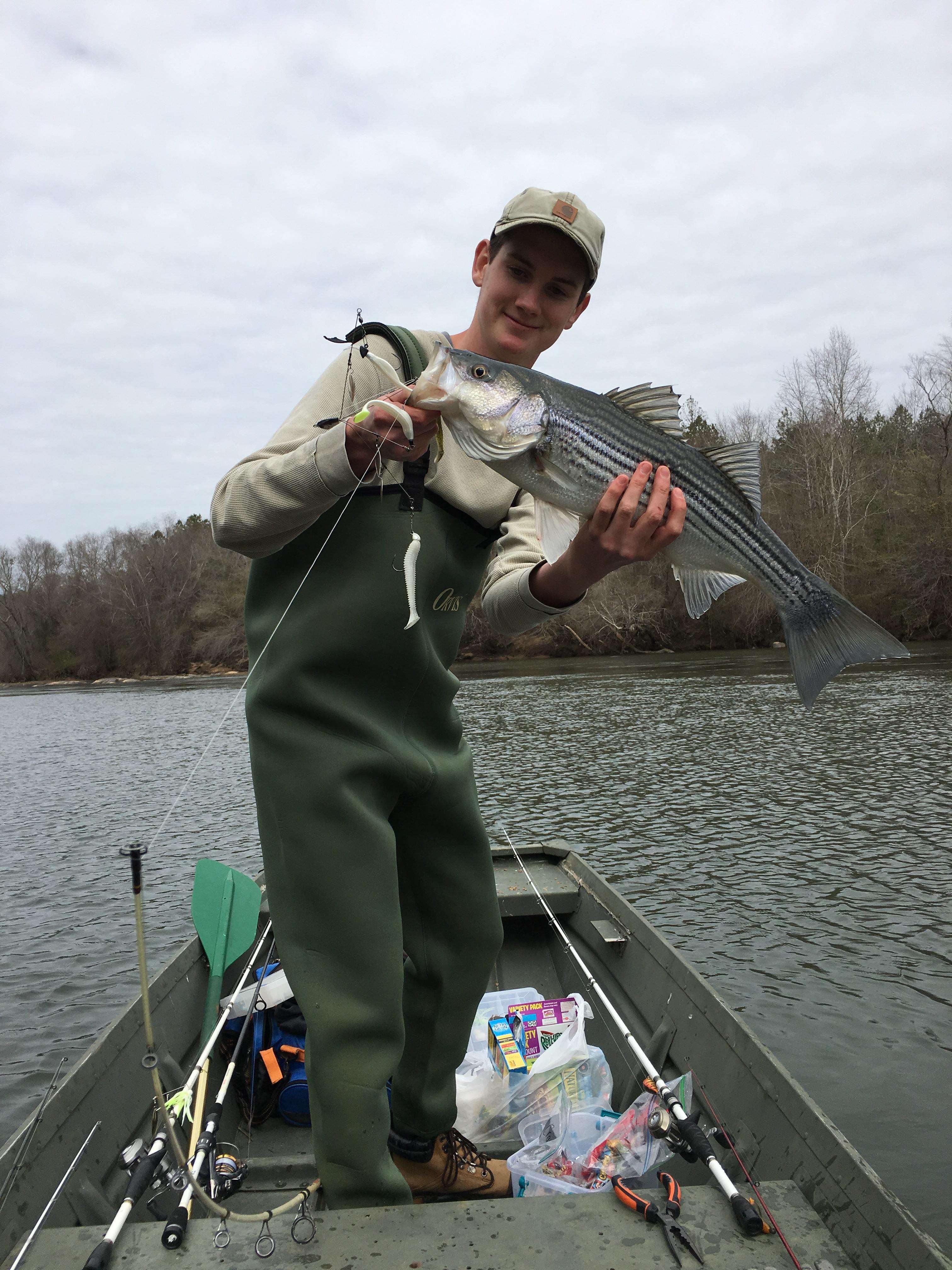 Alabama Rig in Alabama r/Fishing
