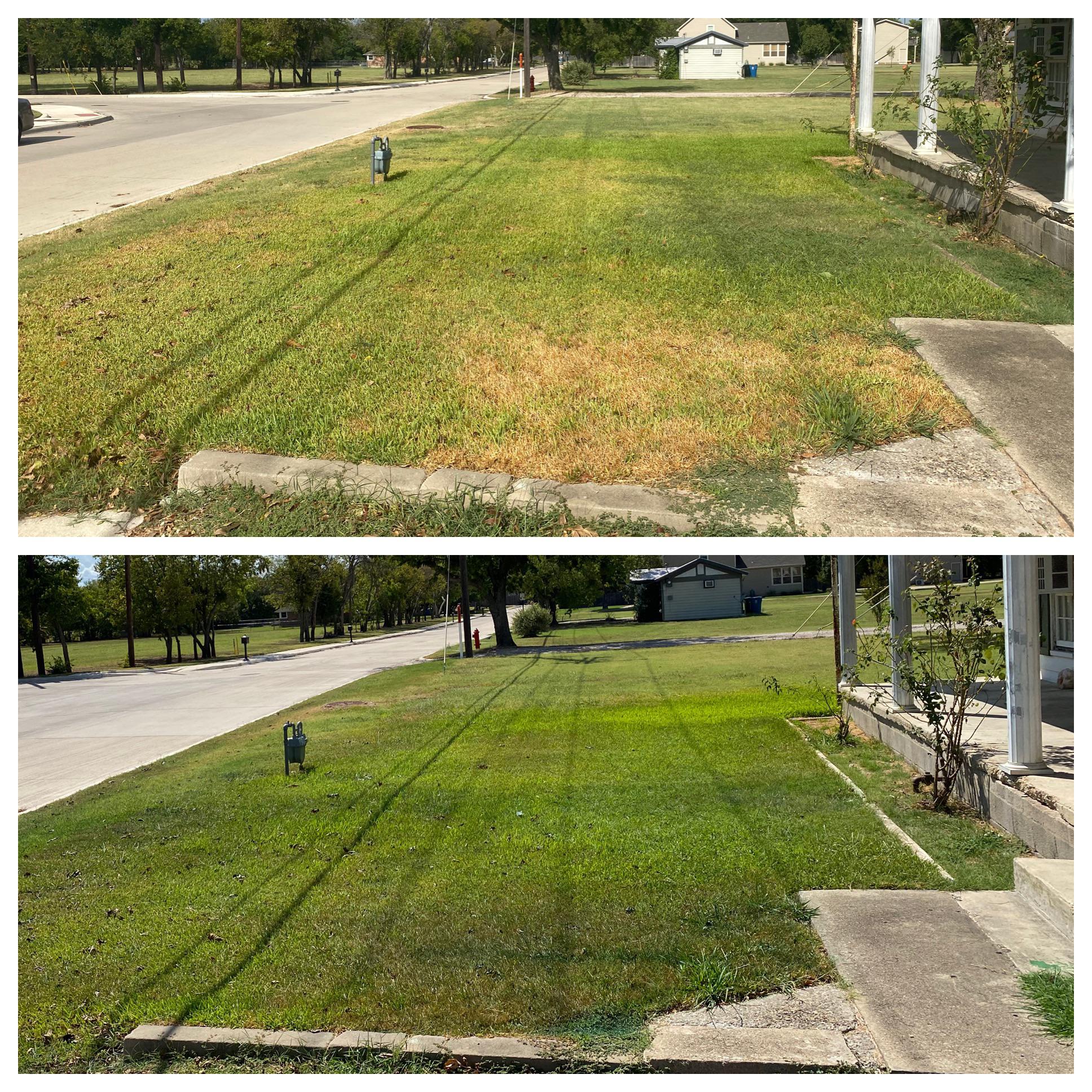 I tried grass paint for the first time. It works! r/landscaping