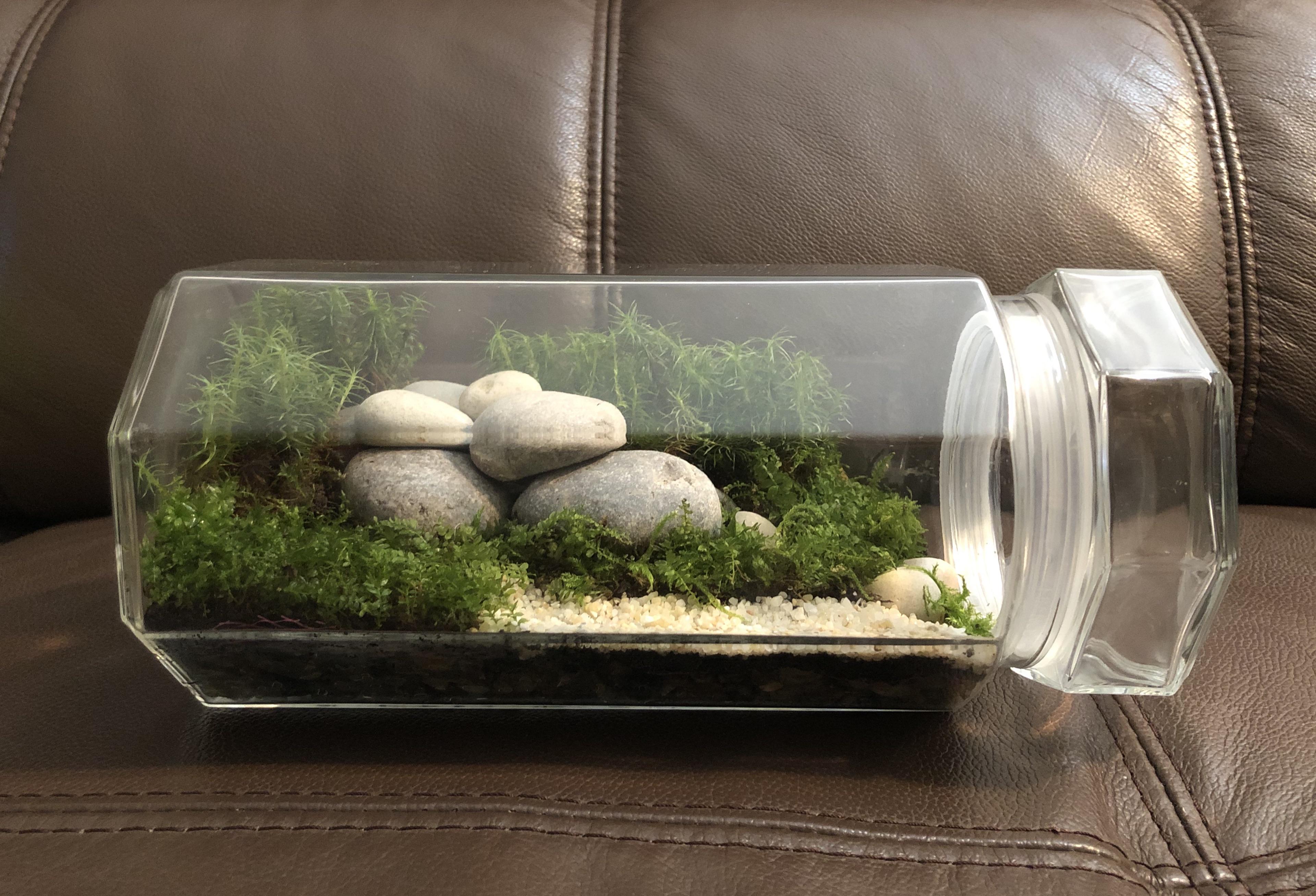River rocks and sand! r/terrariums