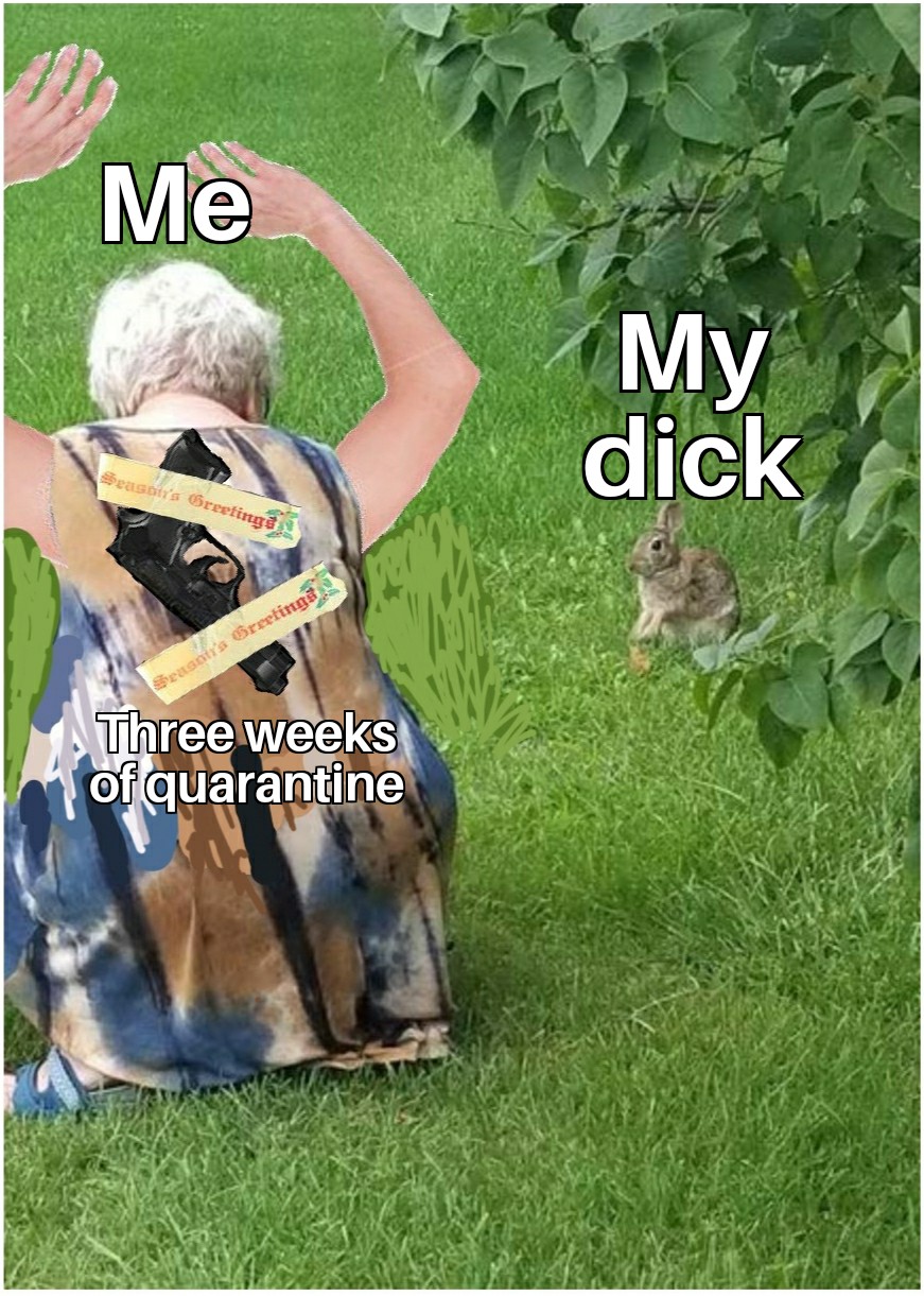 Yippee Kiyay MF r/memes