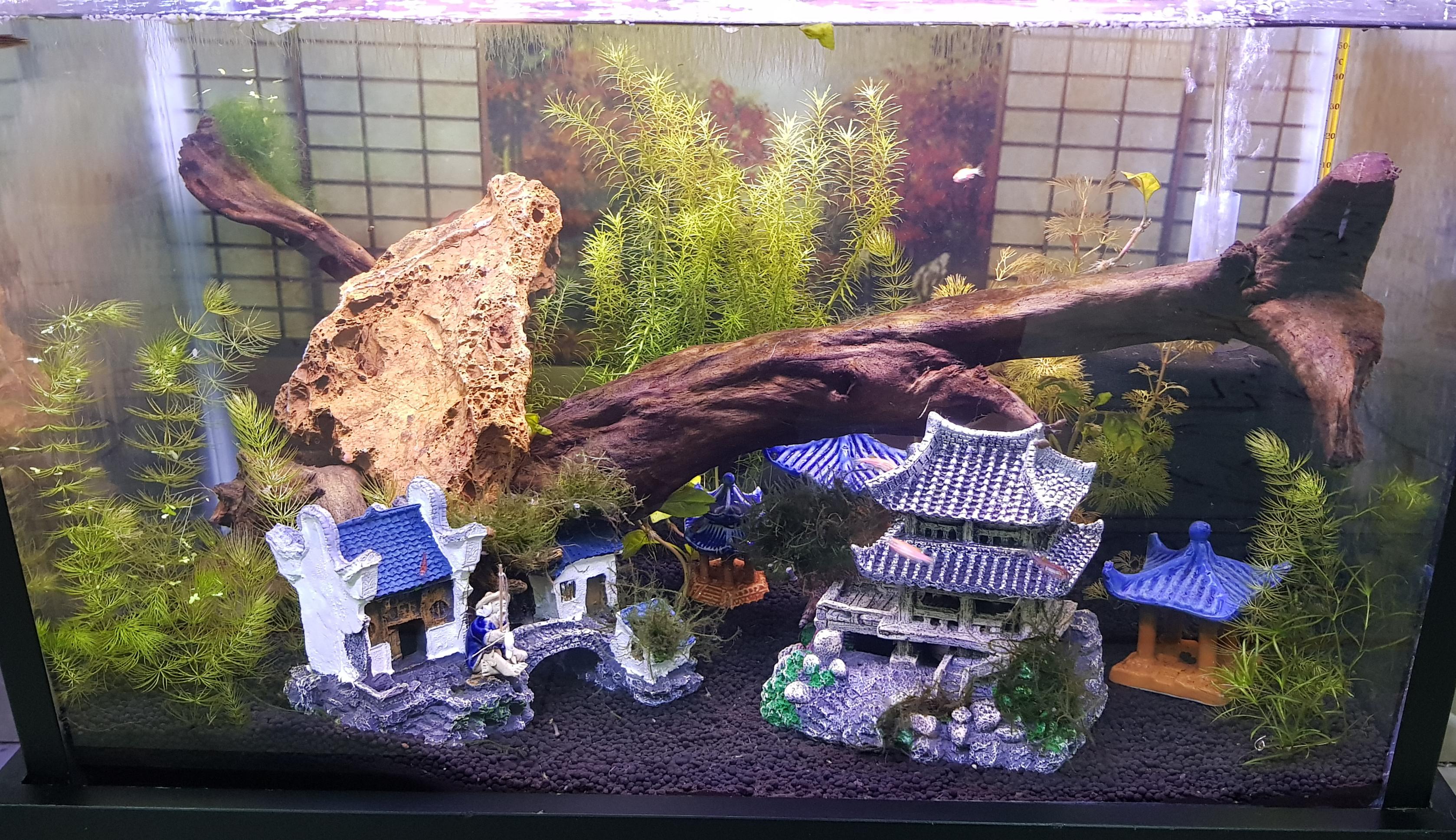 Asian Themed Fish Tank Decorations