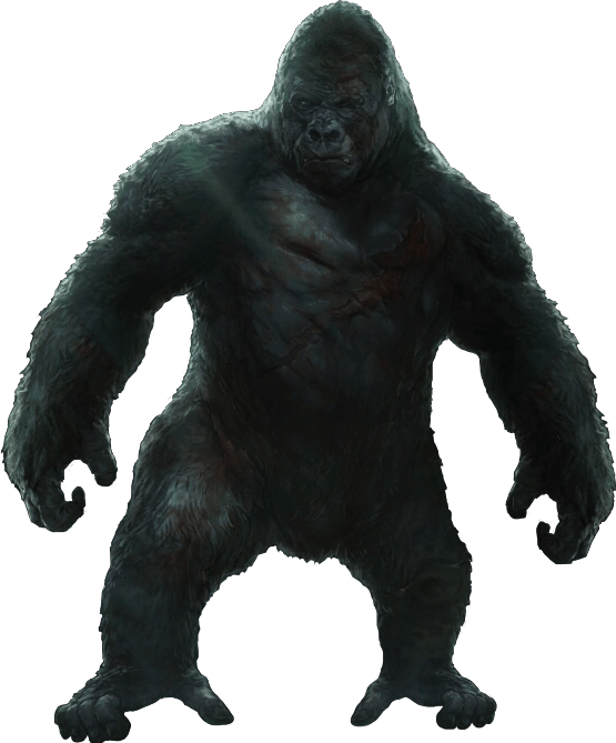 King Kong (1976) tv cut screen shots (ShoutFactory) kingkong