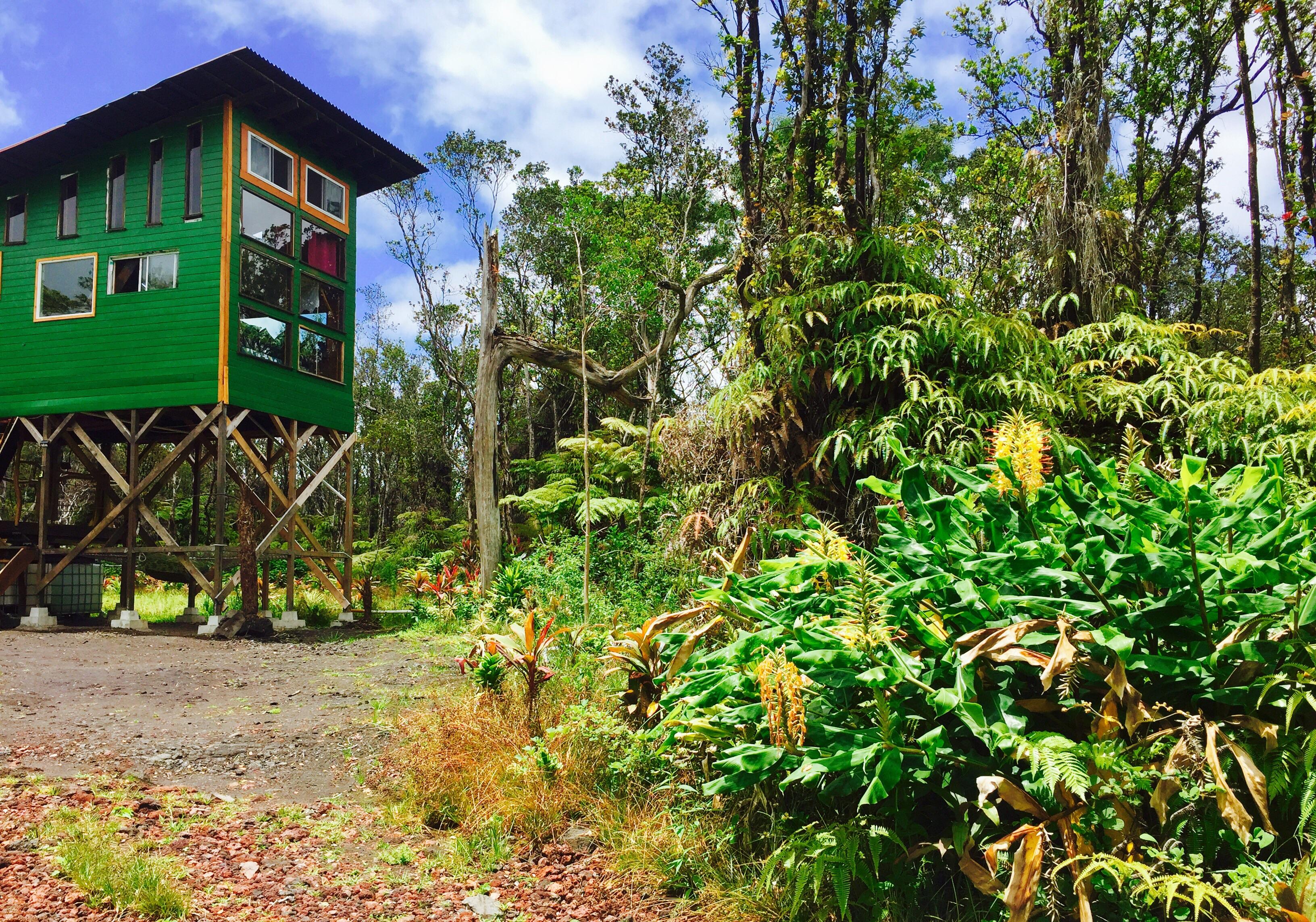 Fern Forest, Hawaii. Bigtinytreehouse r/treehouse