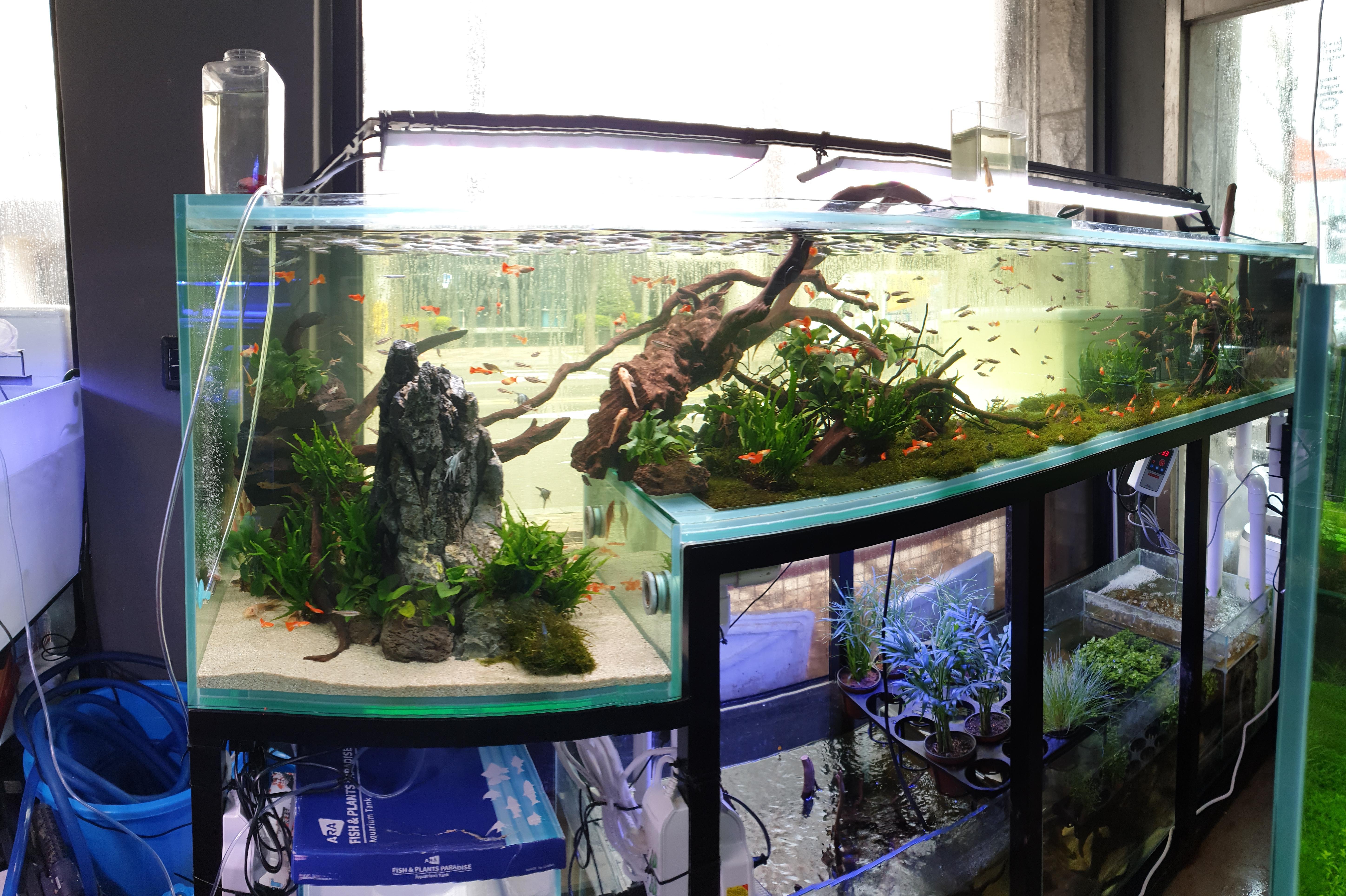 fish stores in my area,Save up to