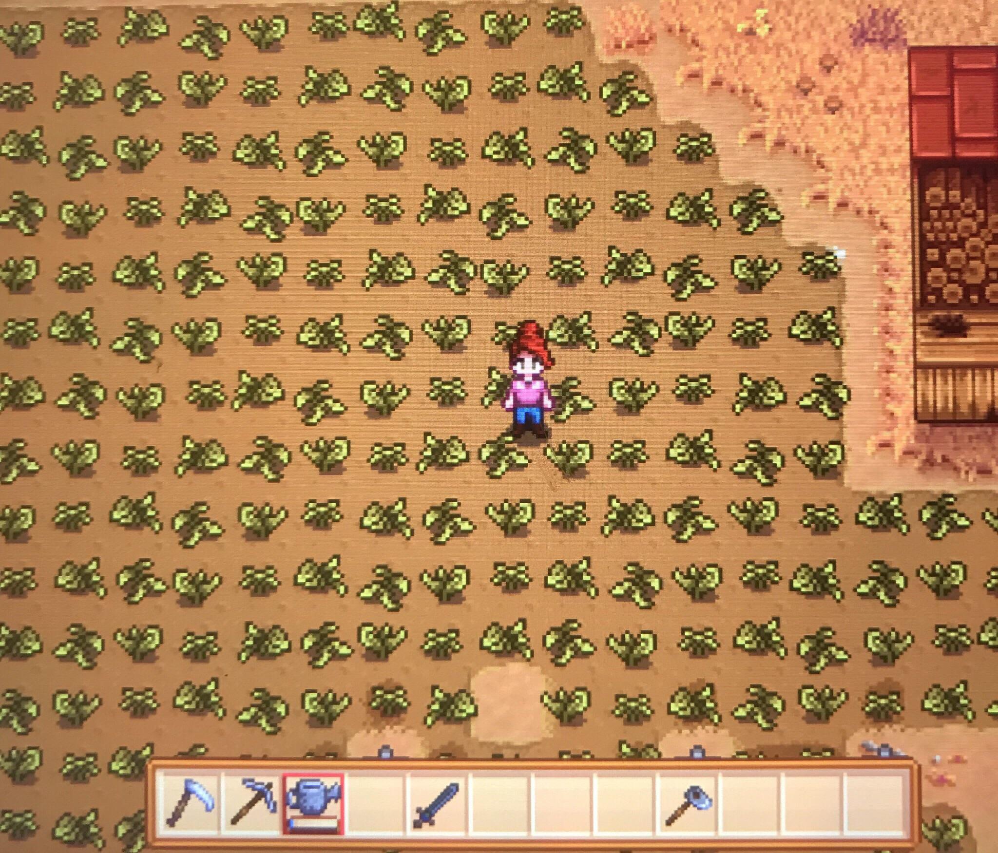Radish Stardew Valley Vegetable