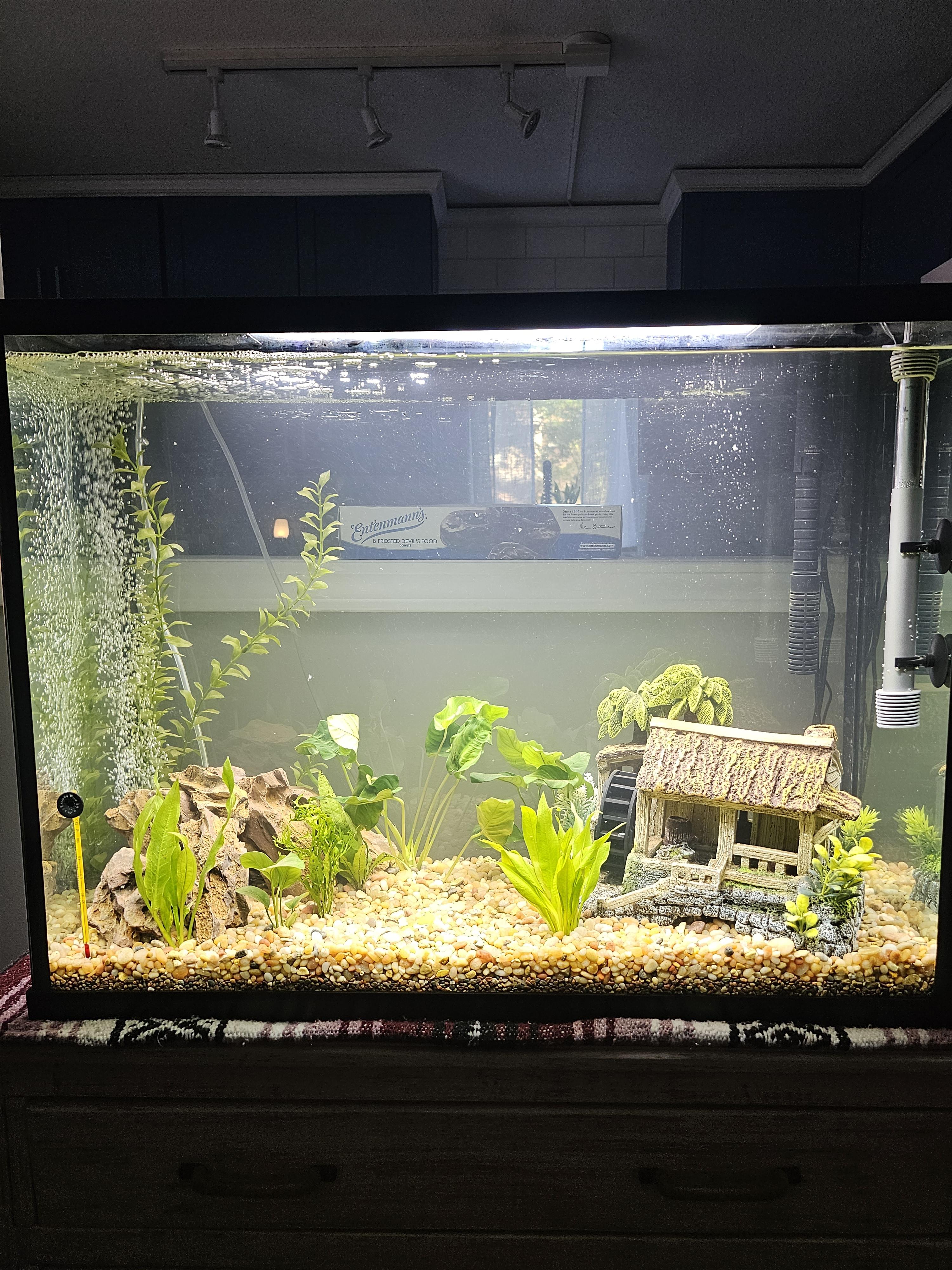 Air pump? r/Aquariums