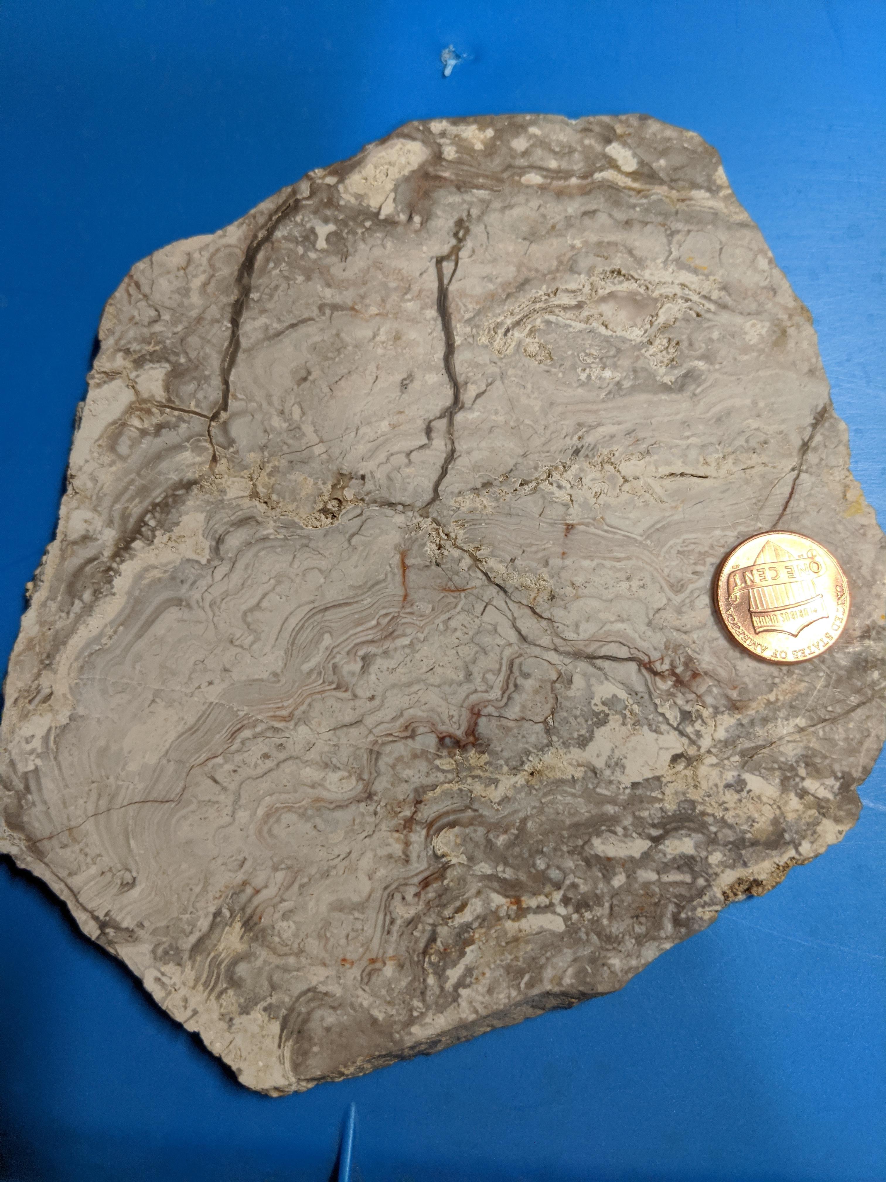 Marble? r/geology