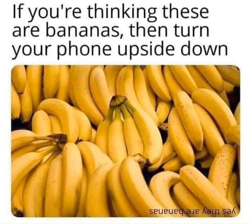 Amazing optical illusion r/antimeme