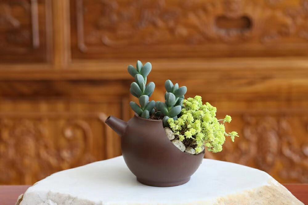 Broken Yixing Teapot = New Flower Pot r/tea