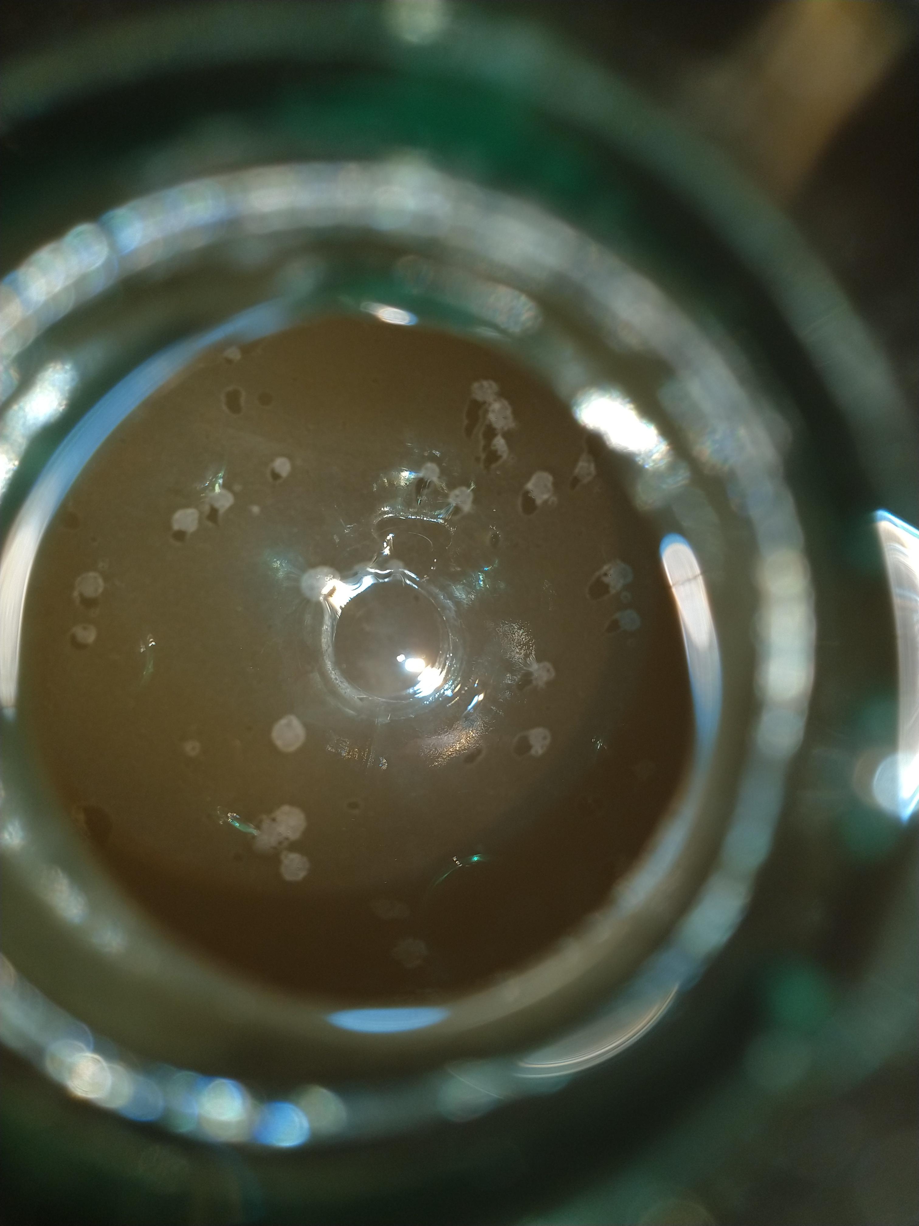 Thin white film on top of mead. 1 month old, racked 2 days ago. Just