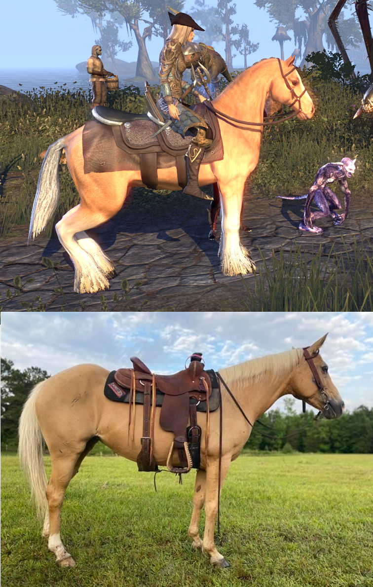 Horses in ESO be like TESOmemes