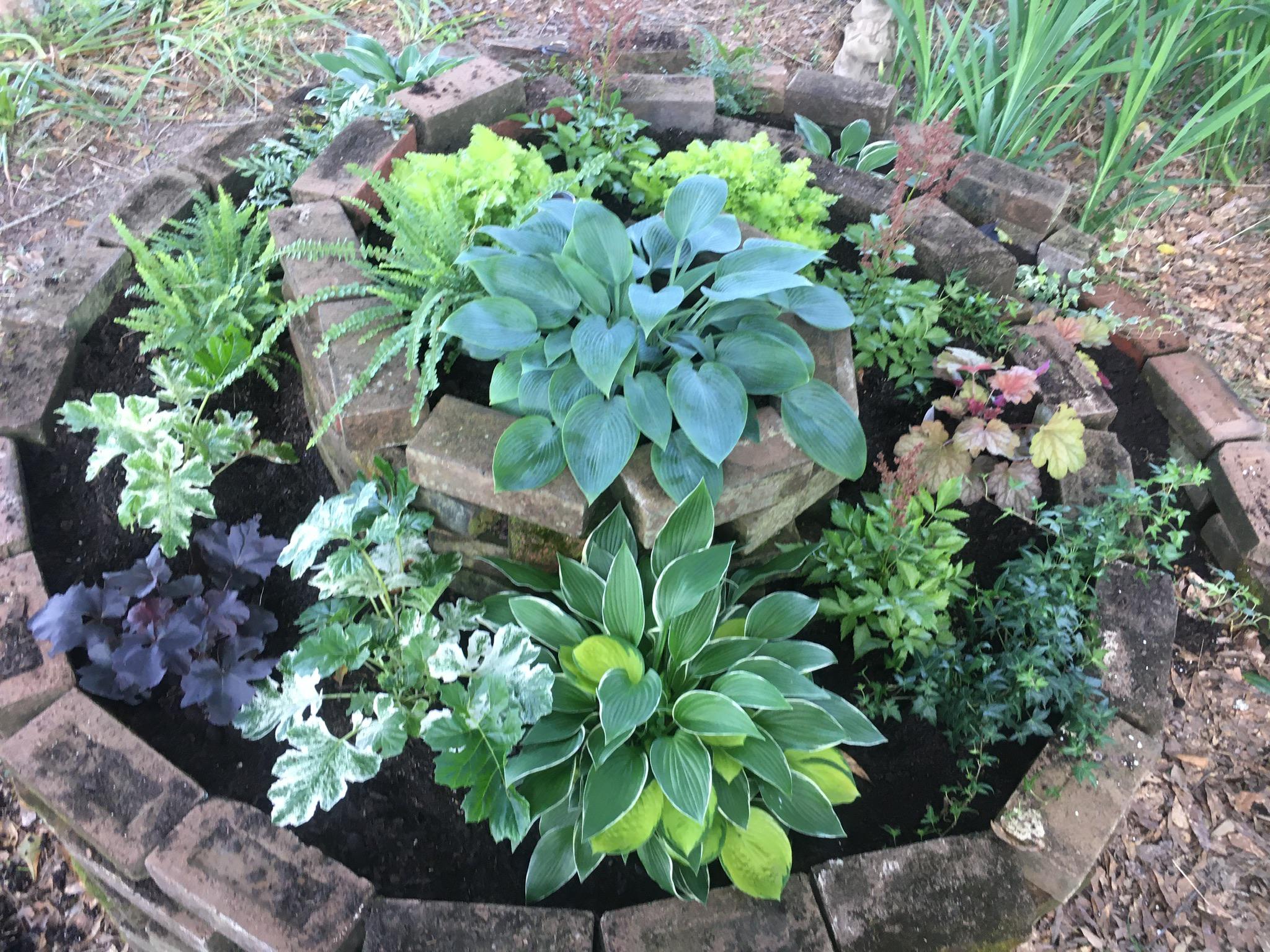 Spiral raised bed in my shade garden. r/gardening