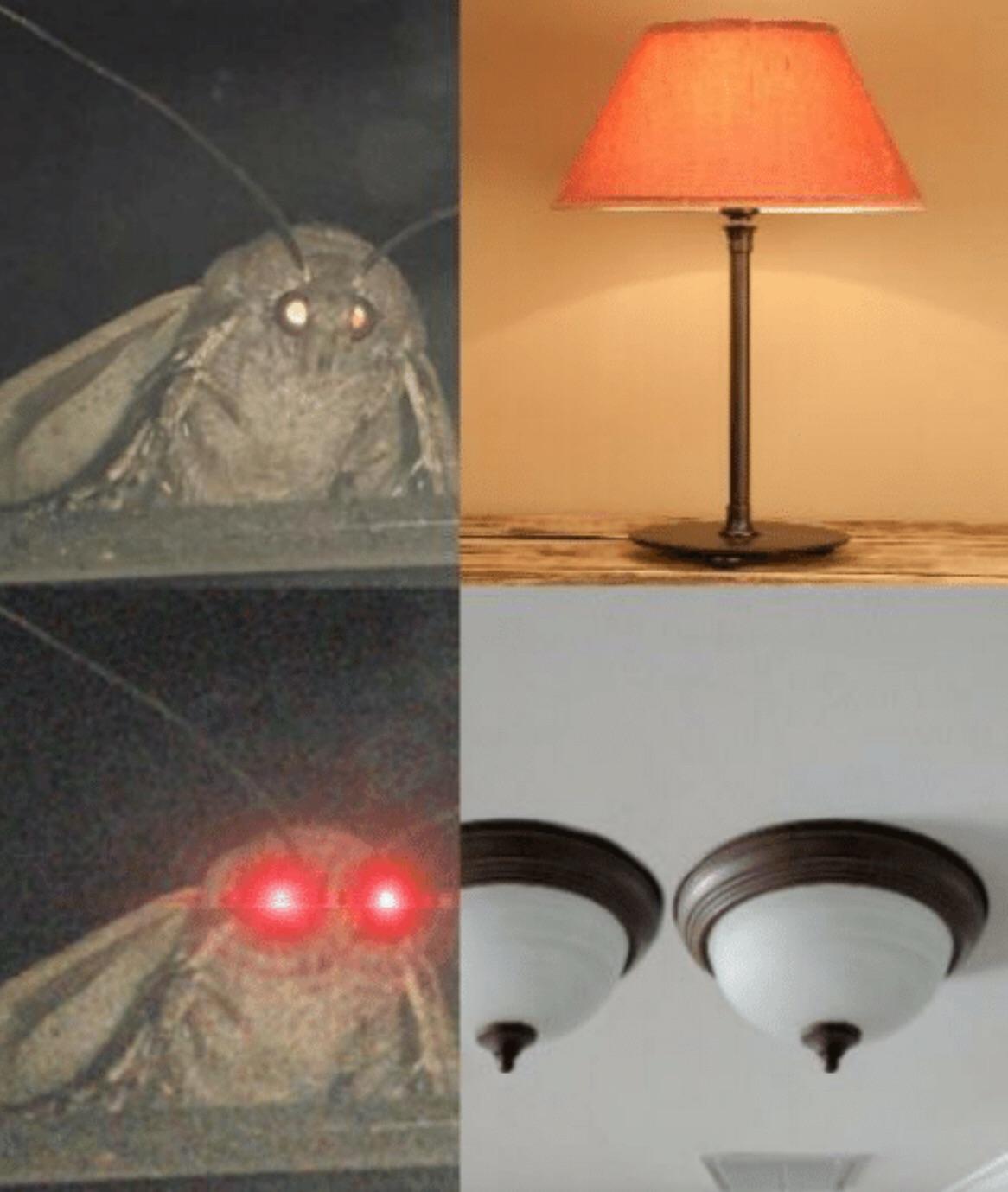 Dem Lamps r/memes