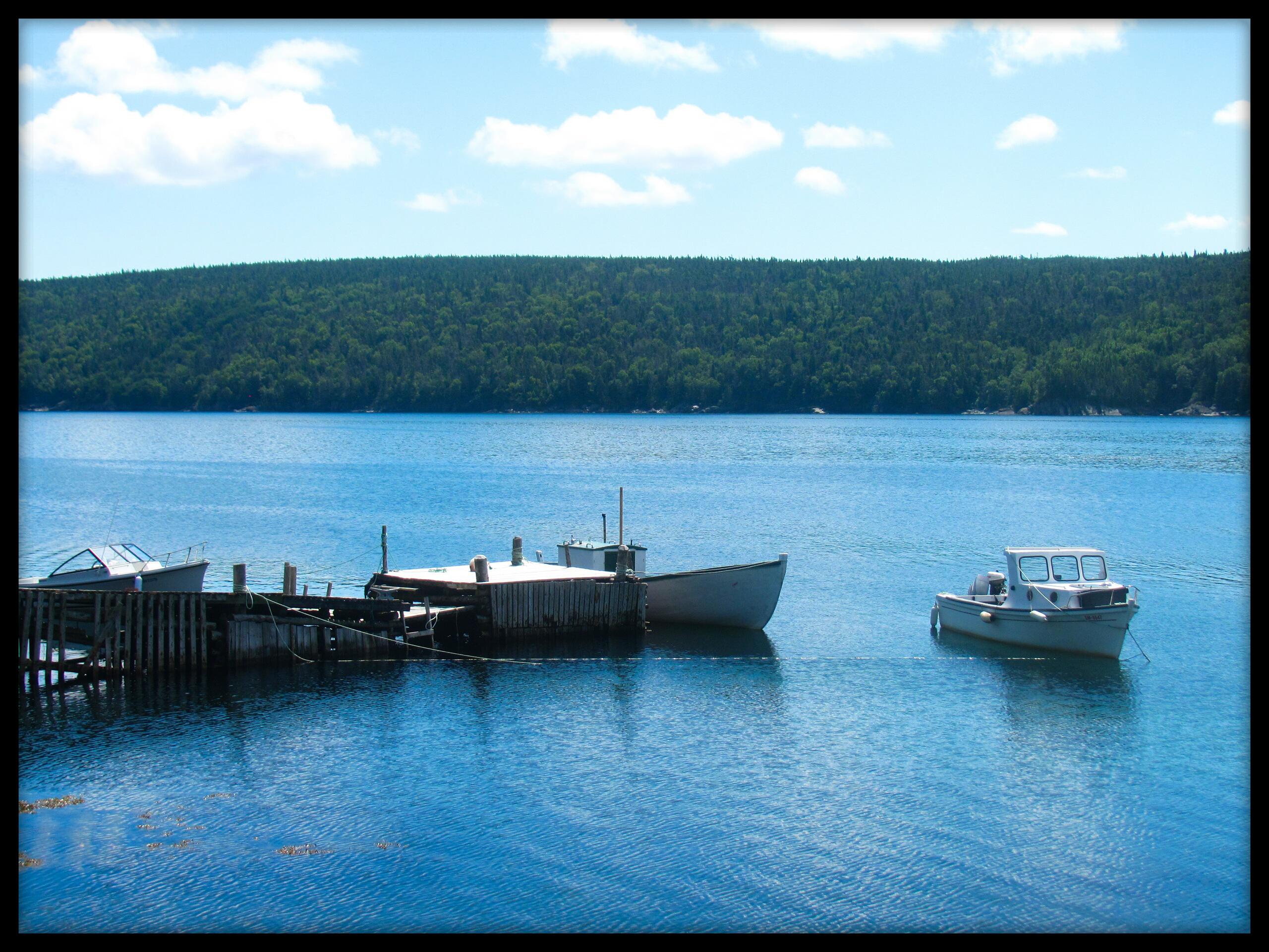 Cape Broyle r/newfoundland
