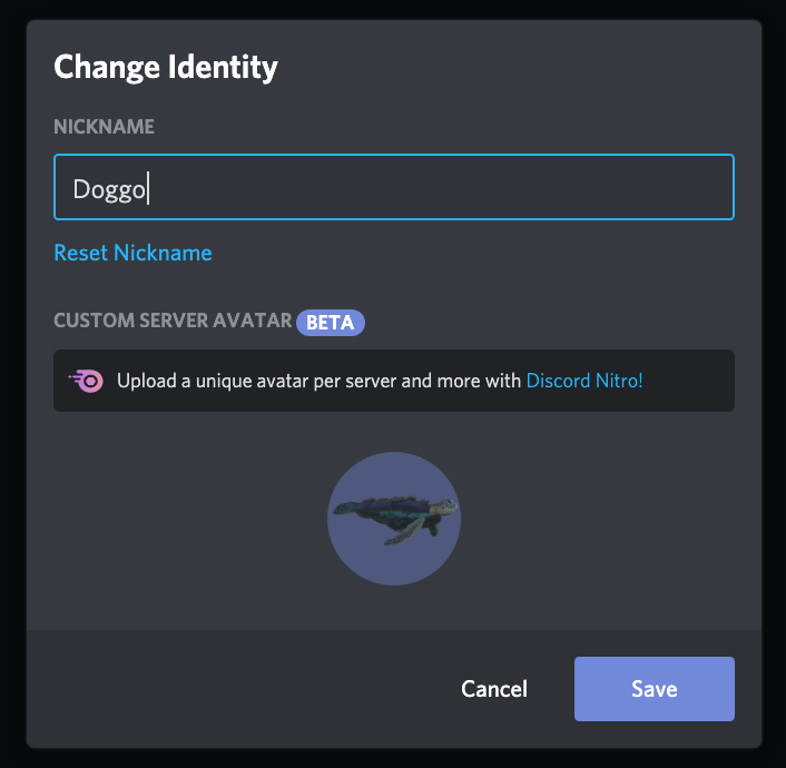 Custom Avatars Per Server With Discord Nitro R Discordapp