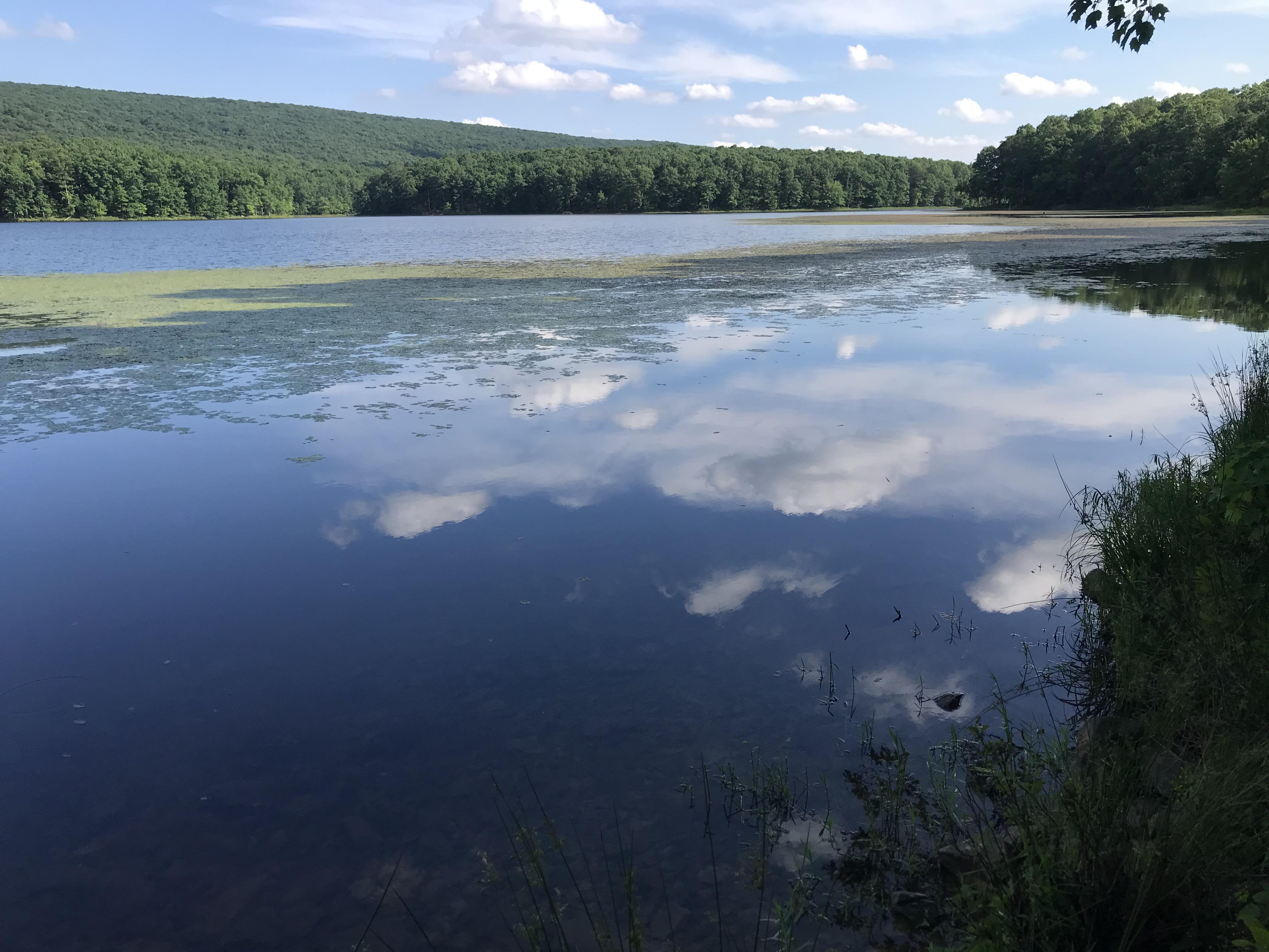 Sleepy Creek lake, Berkeley County. r/WestVirginia