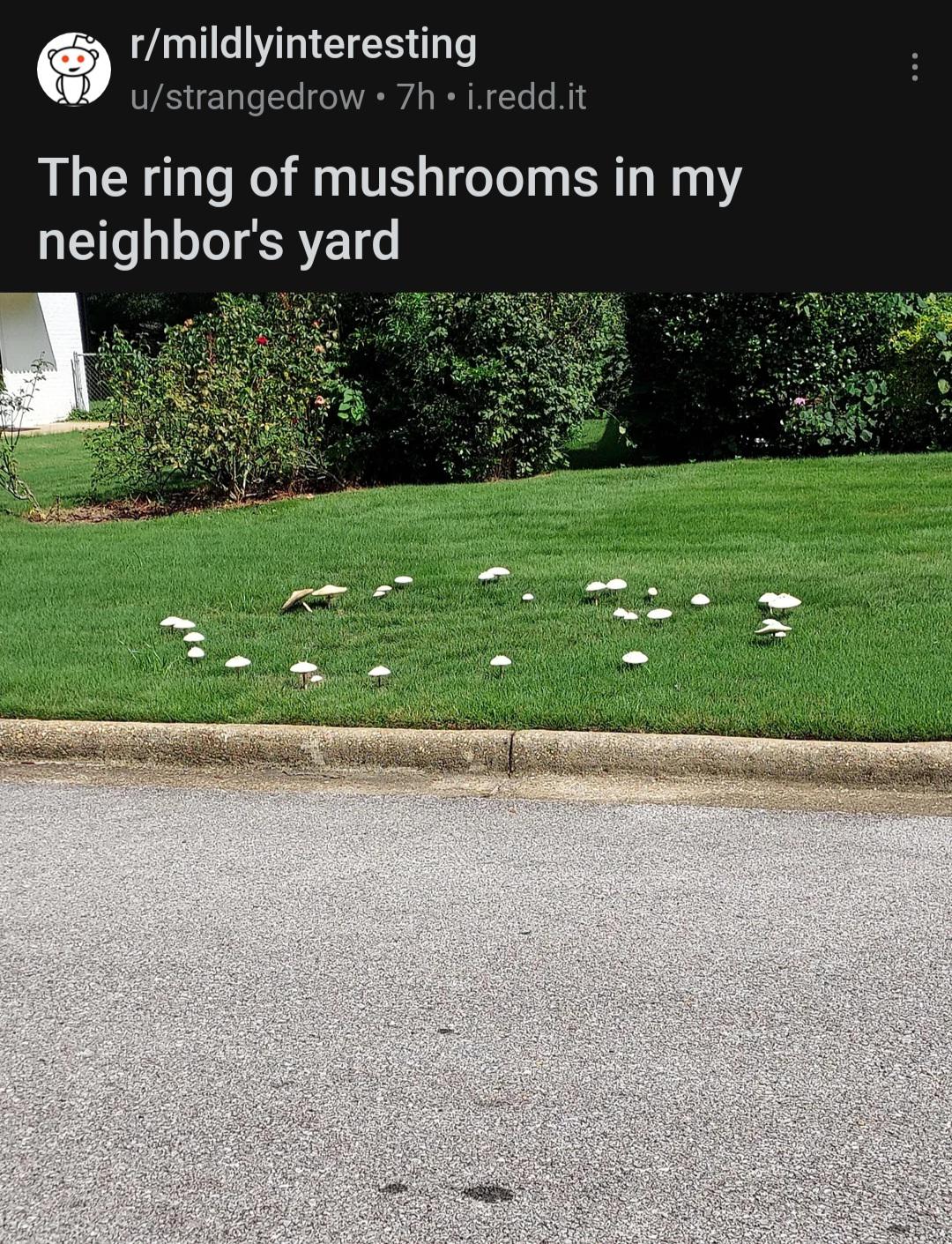 Fairy Ring IRL r/2007scape
