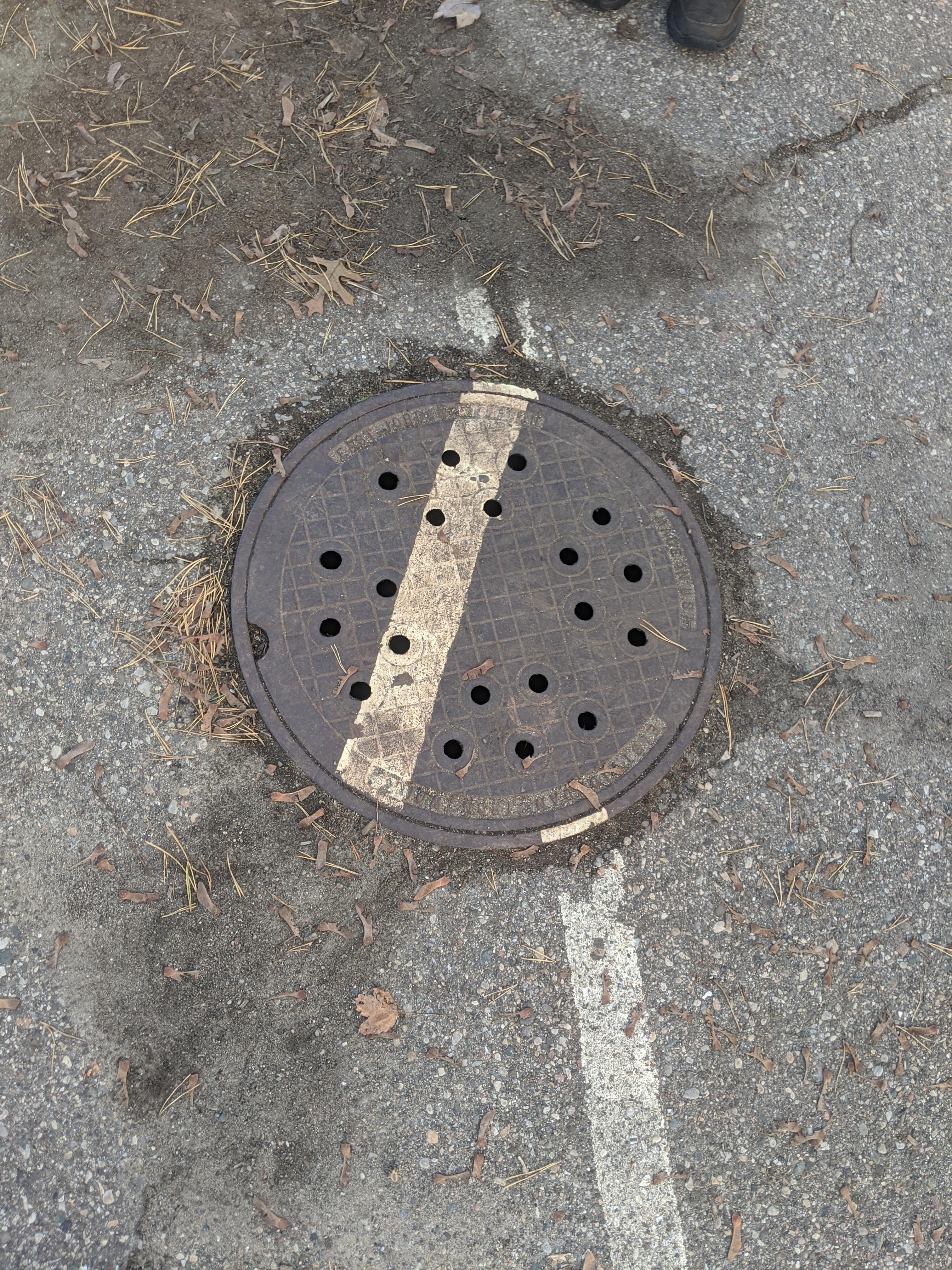 Sewer drain mildlyinfuriating