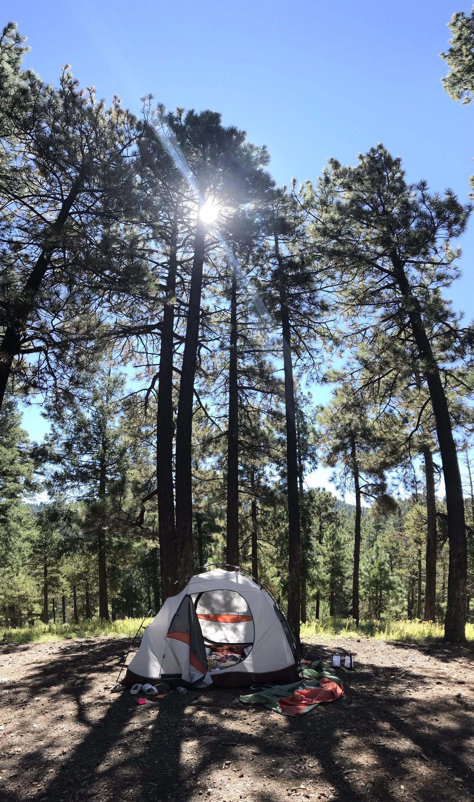 Mt. Lemmon in Tucson, AZ. You would never expect this to be in the middle of the desert! r