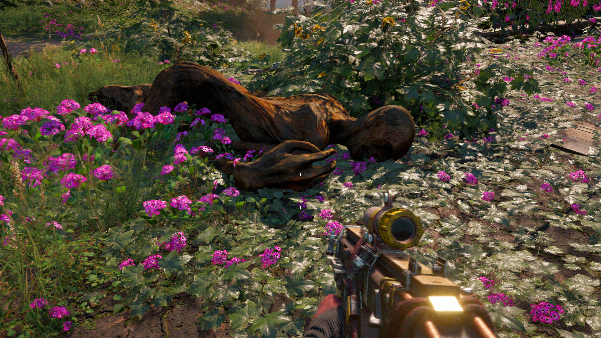 Found Something Strange at South New Eden Gate r/farcry