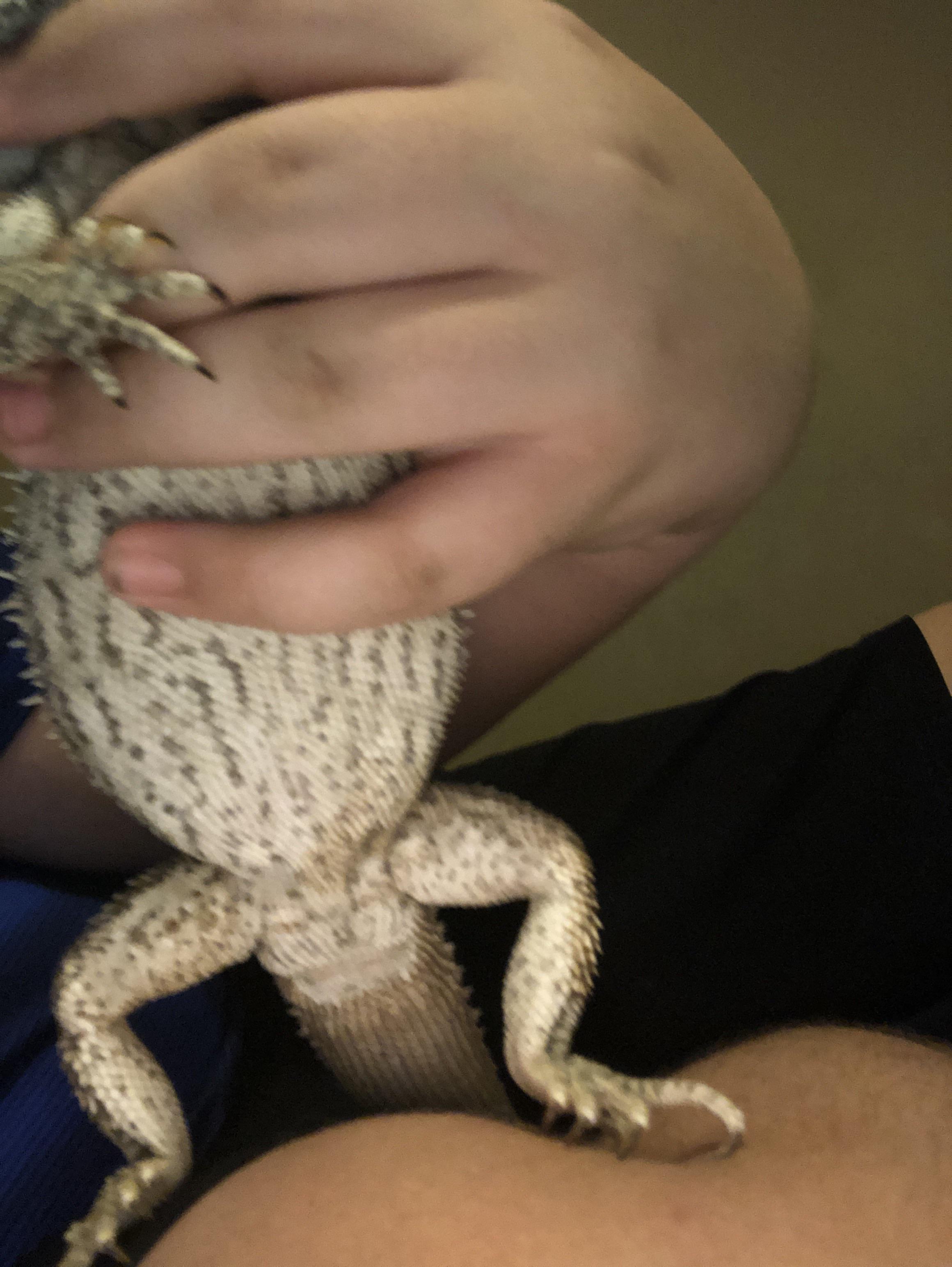 This is the best pic I can get right now sorry! I am having trouble