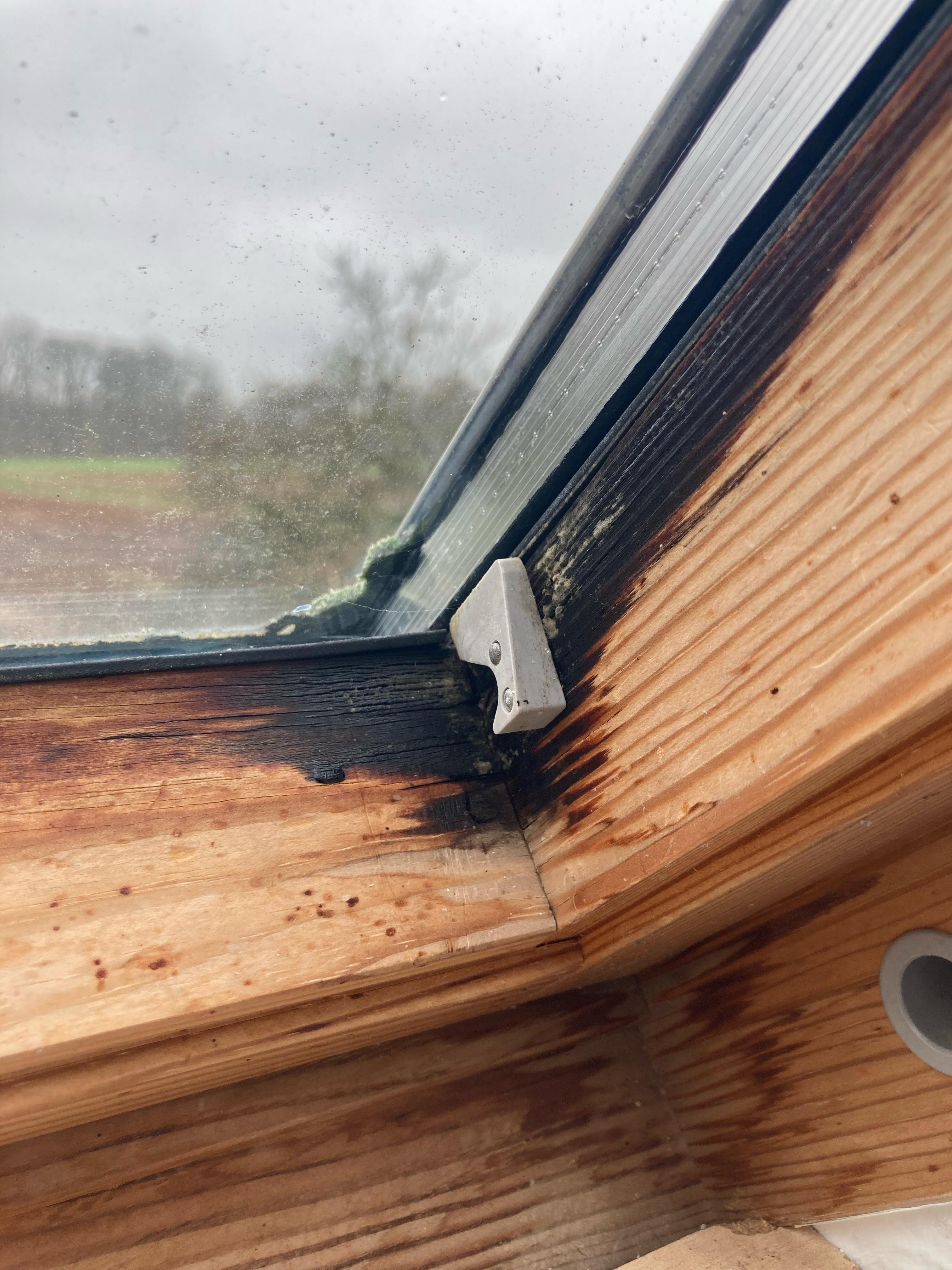 Remove mold from wooden surface? r/CleaningTips