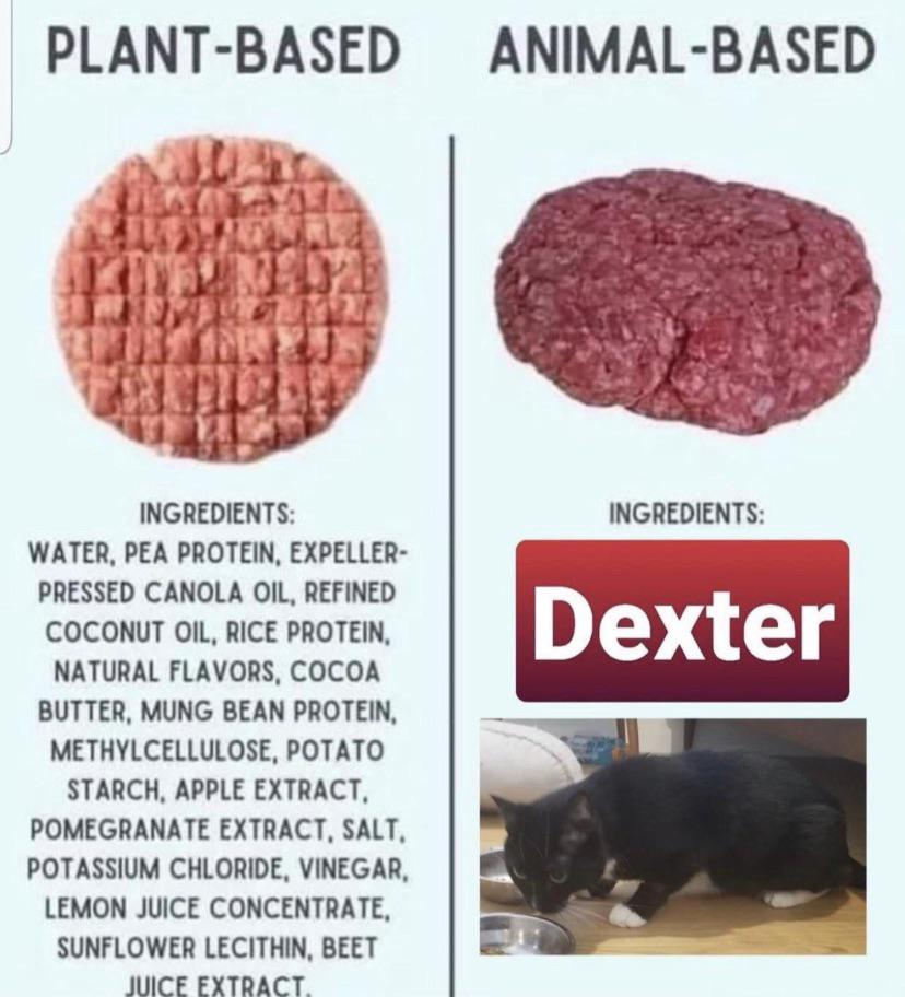 Wordington meat 😋 r/wordington