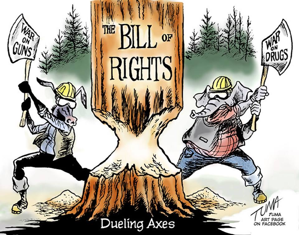 Dueling Axes r/Libertarian