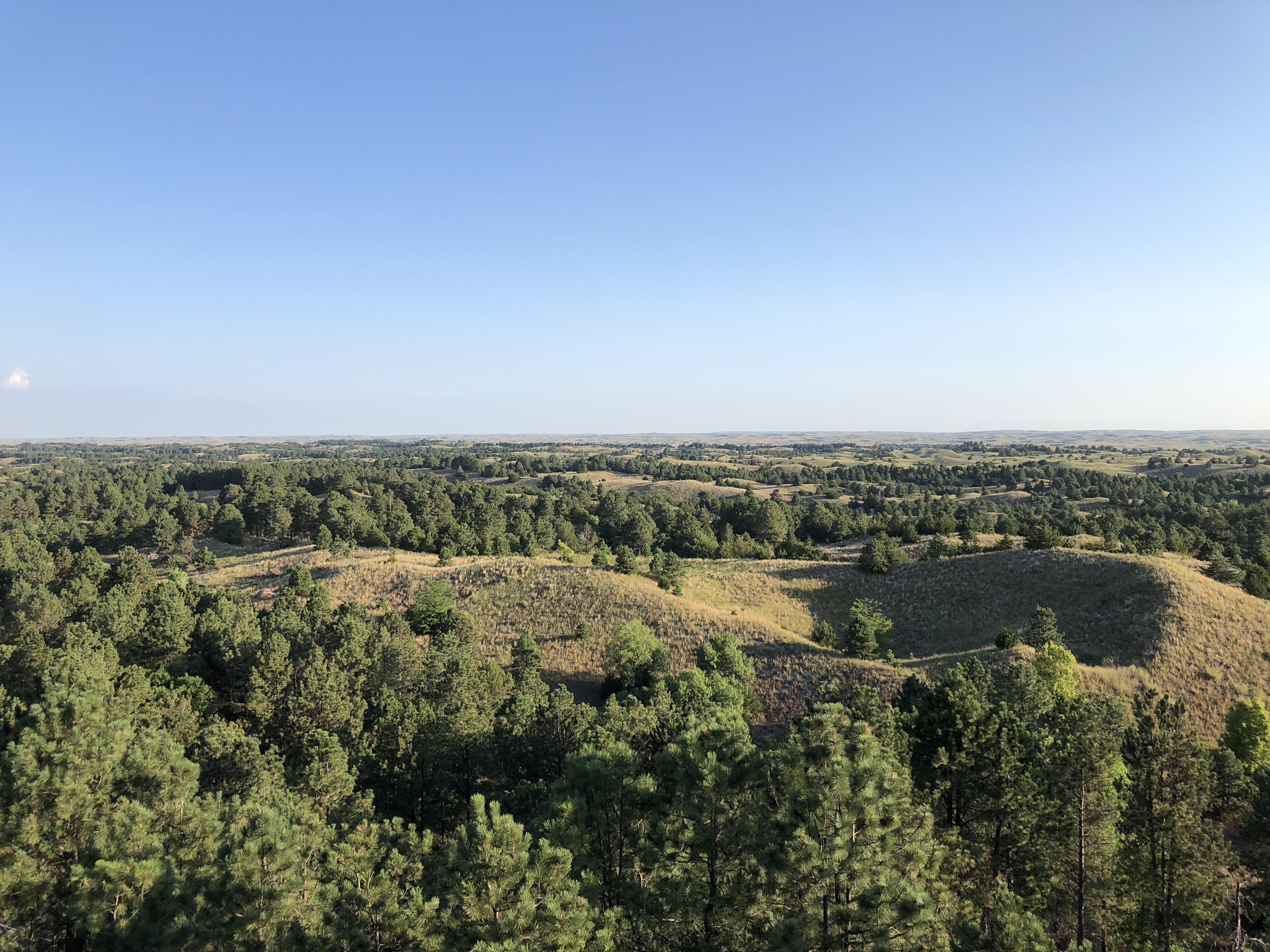 We might not have mountains, but we do have the largest handplanted