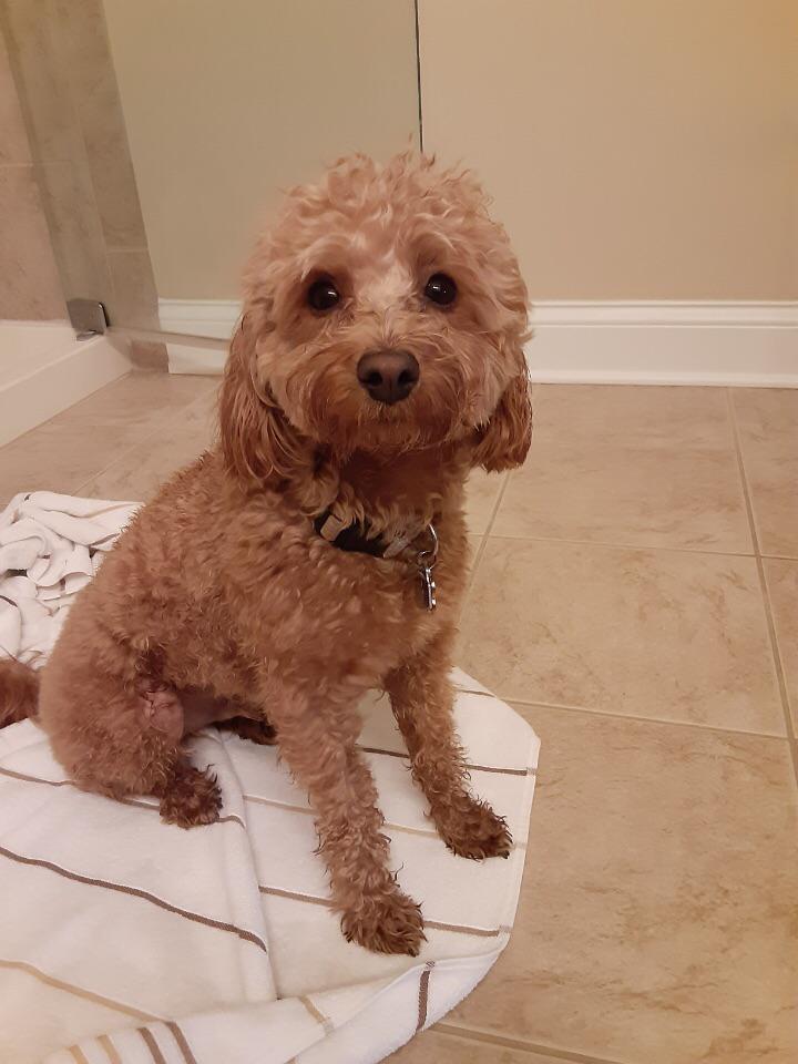 Pouting that he had to have a bath after playing in the mud r