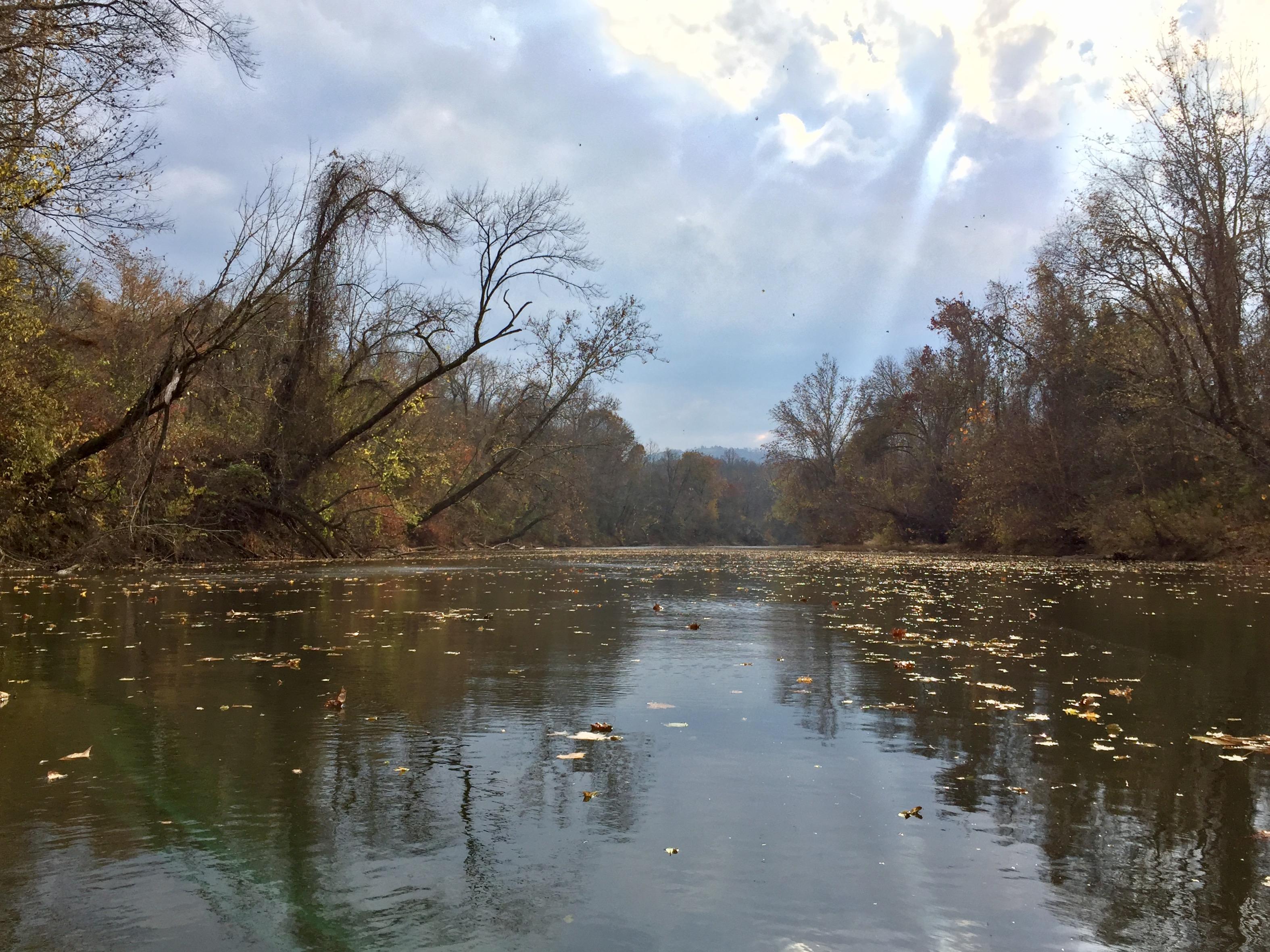 Rivanna River, Charlottesville, VA r/Kayaking