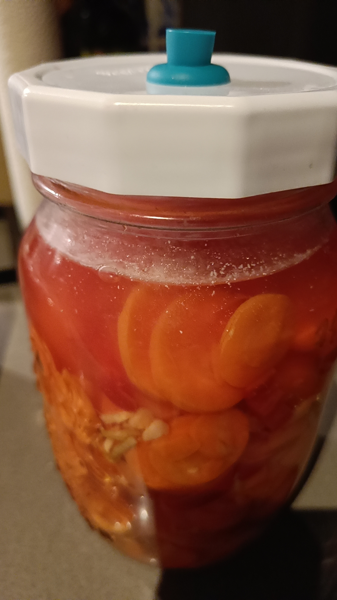 White film on top what is it? r/fermentation
