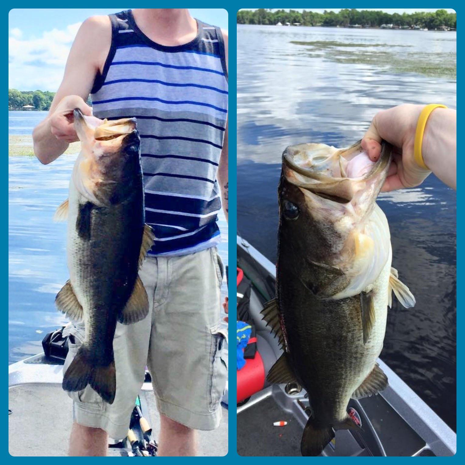 Bass Fishing Lake Fl at Carmen Garcia blog