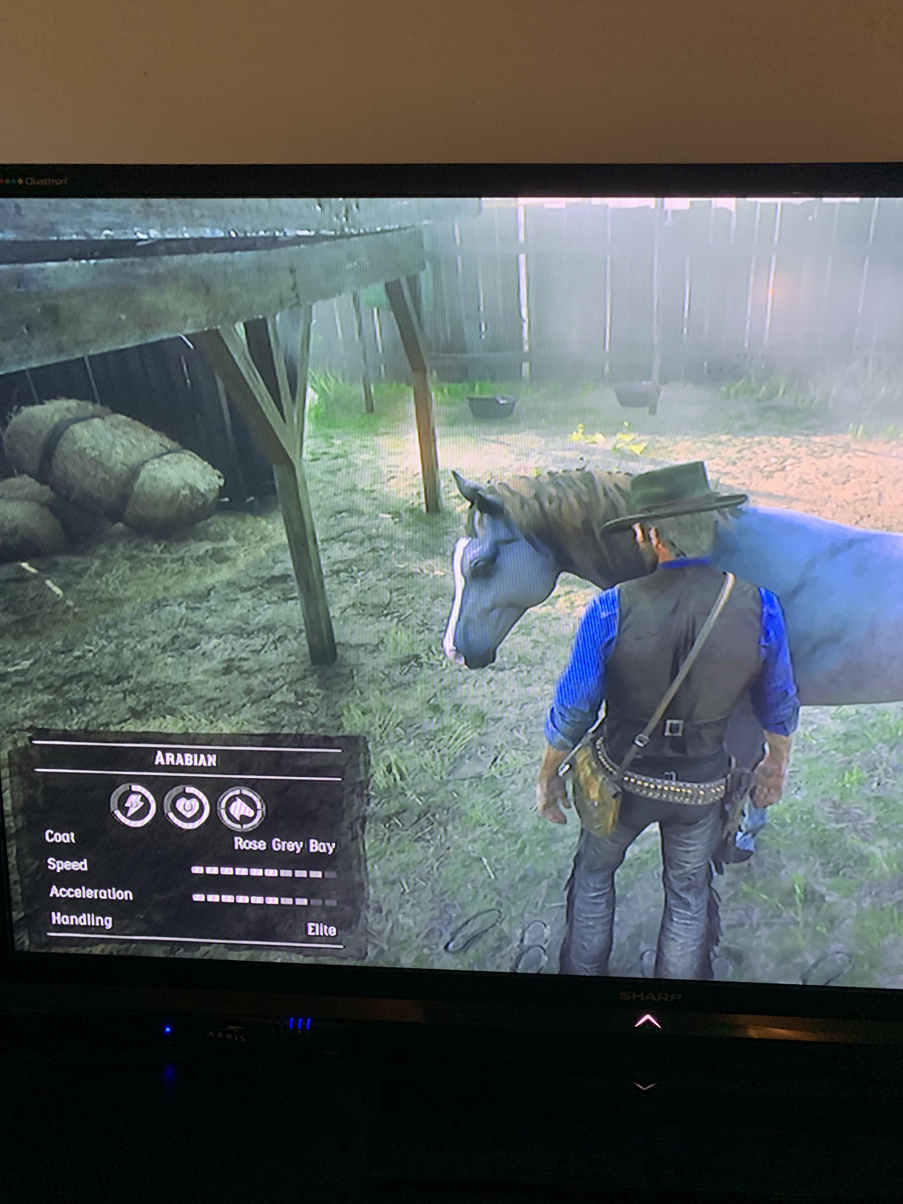 Saint Denis horse glitch r/reddeadredemption