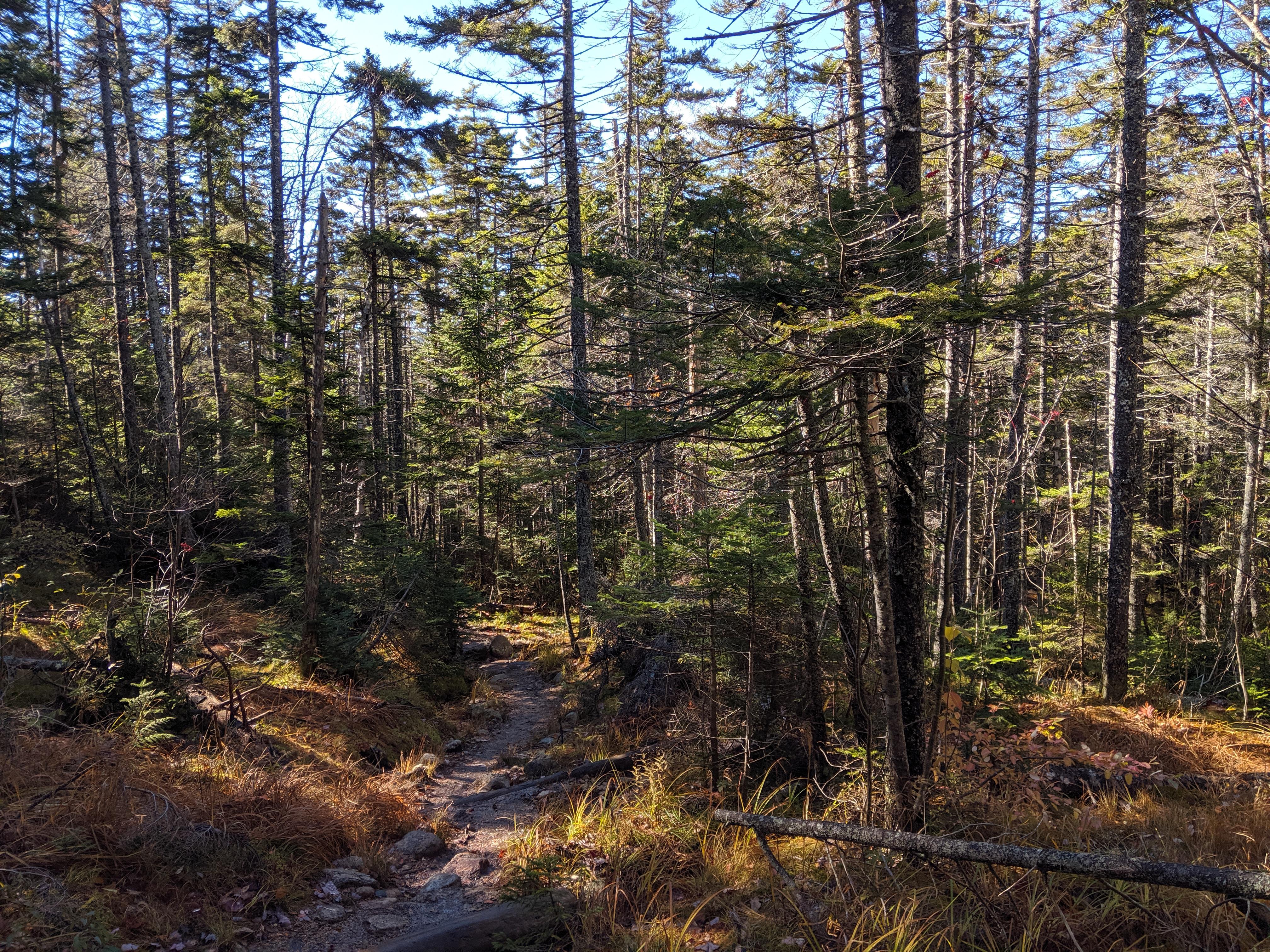 Mt Hancock South Hancock NH 4000 Hiking Conditions